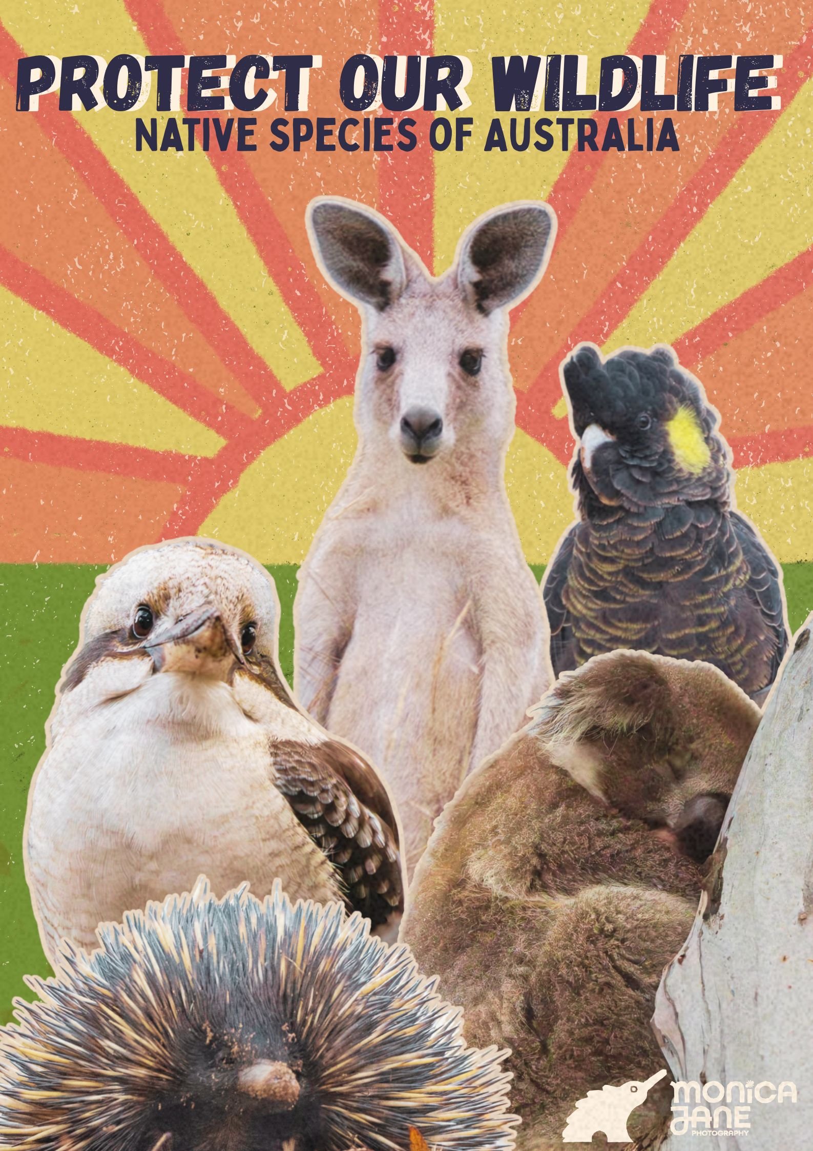 Vintage Australian Wildlife Poster – A3 Art Print (Pre-order)