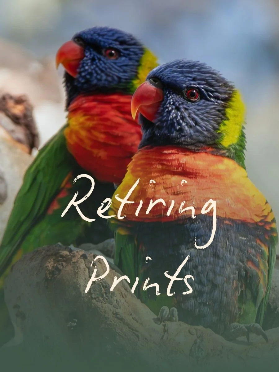 Retiring Prints- A3