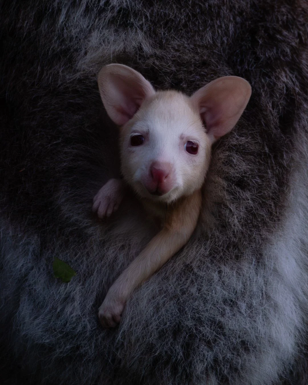 editing demo WW, cropped.jpg