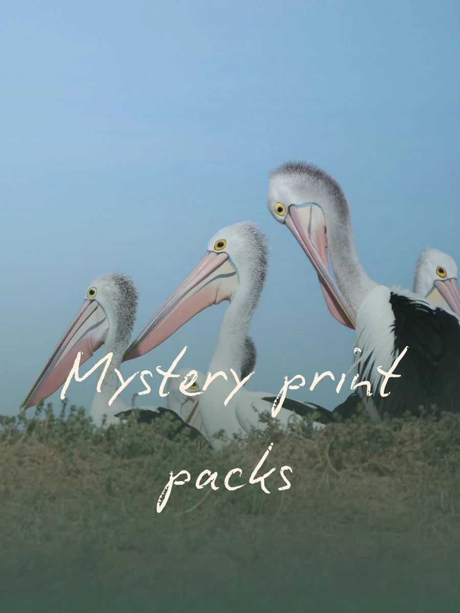 Mystery Print Packs!