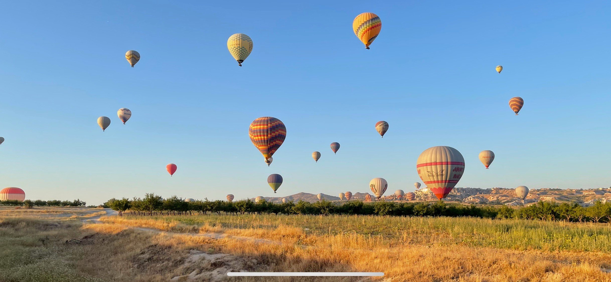 Hot Air Balloons over field