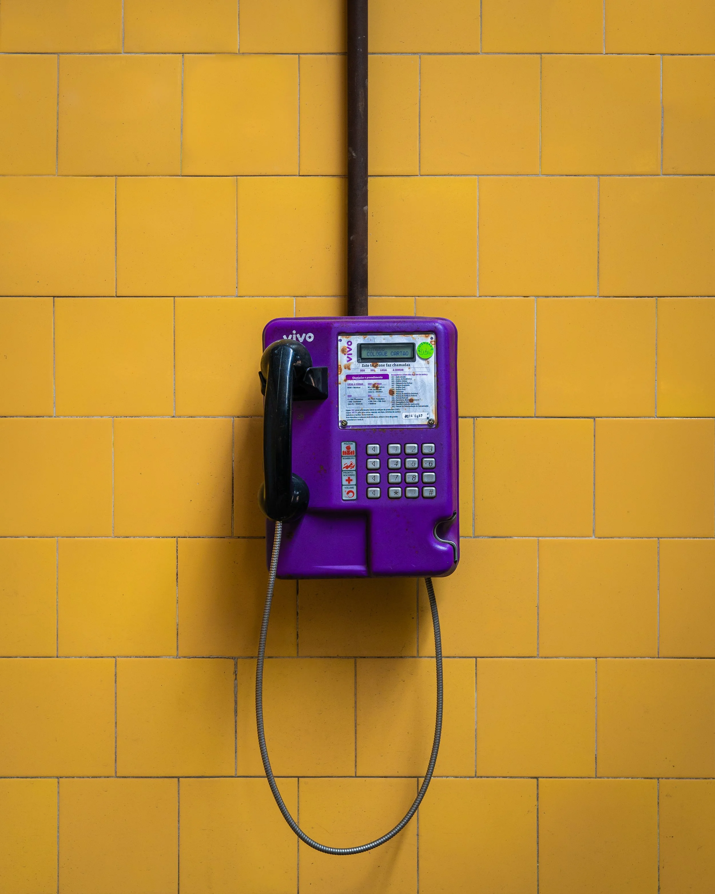 Accidentally Wes Anderson