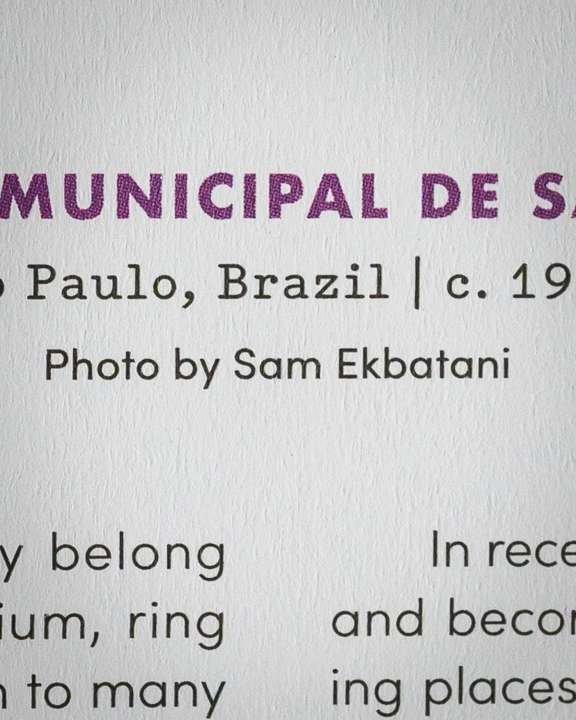 SAM07021.jpg