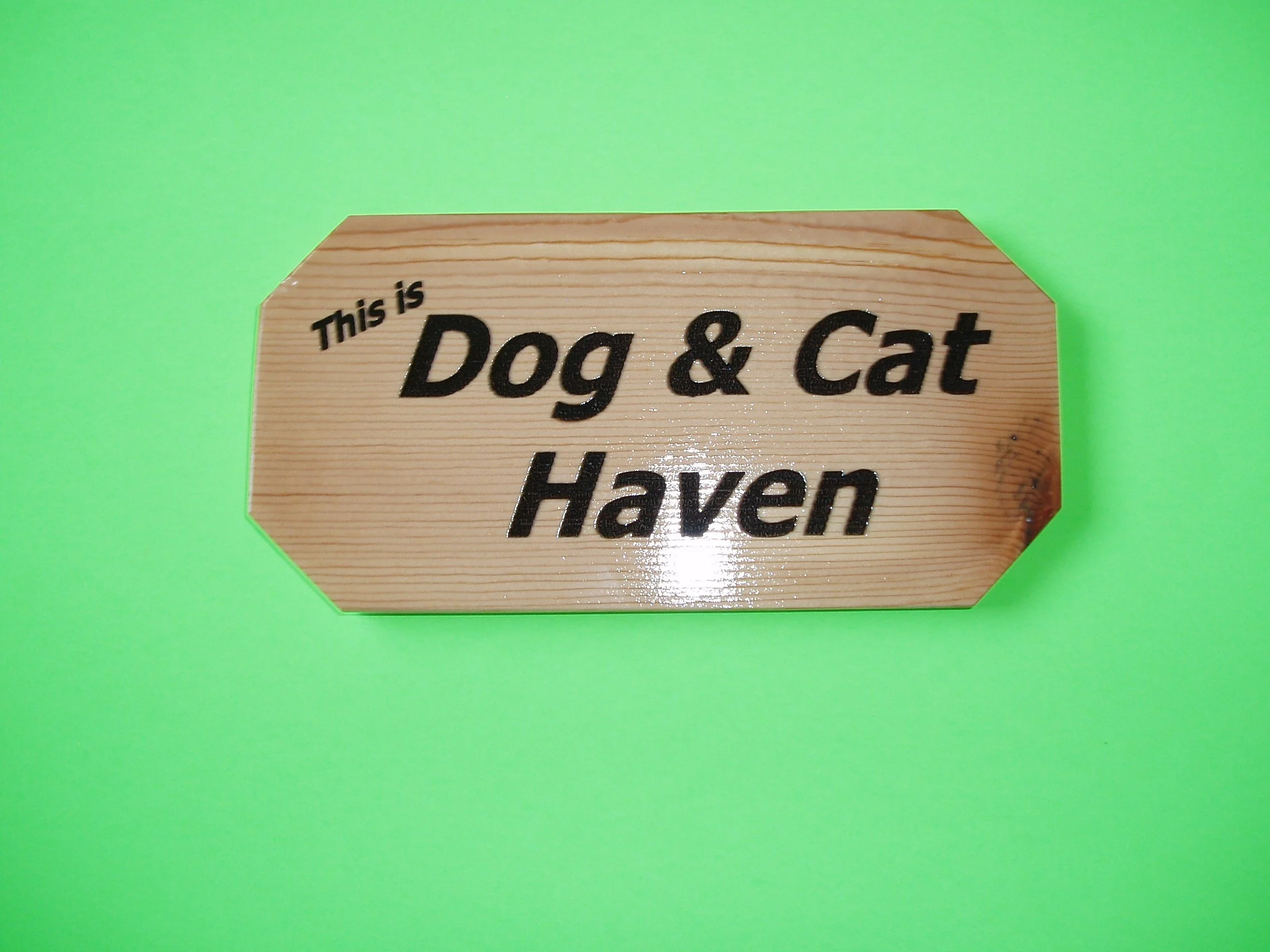 Dog & Cat Haven.JPG