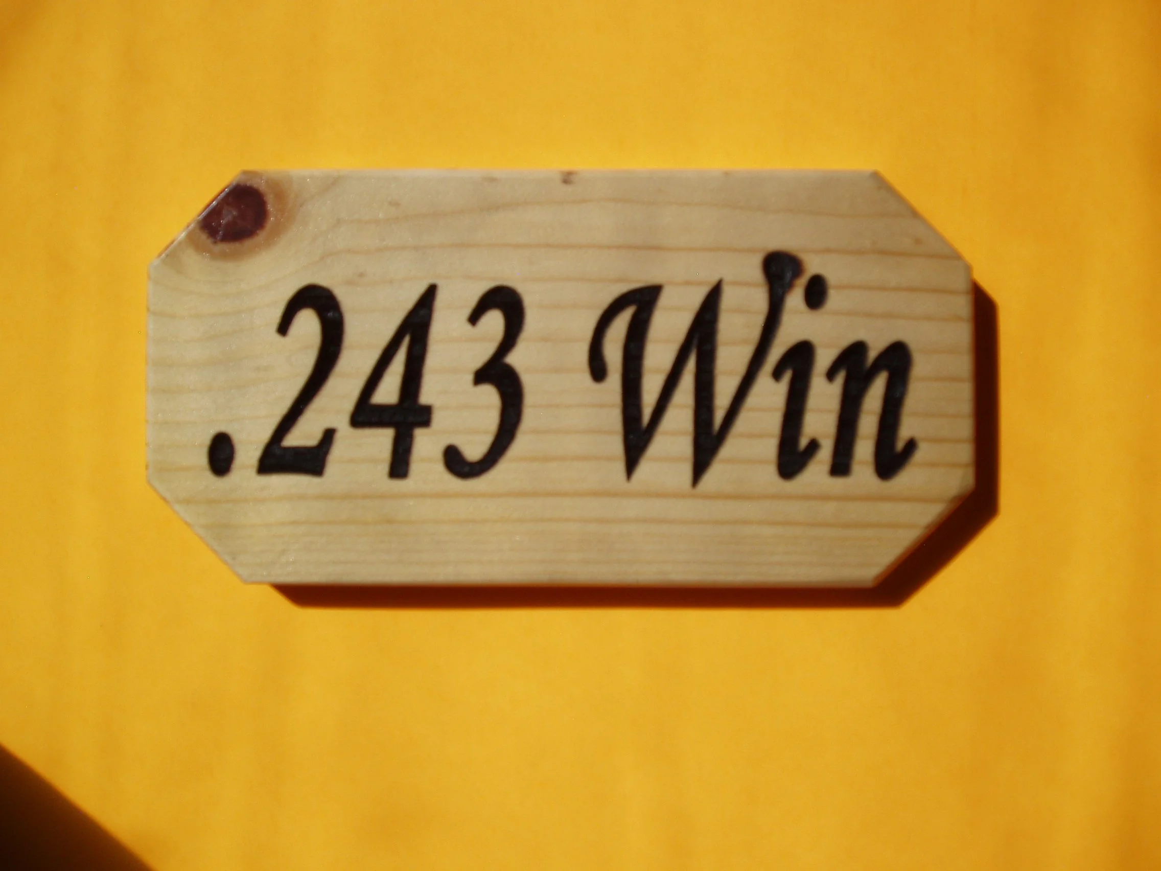 .243 Win.JPG