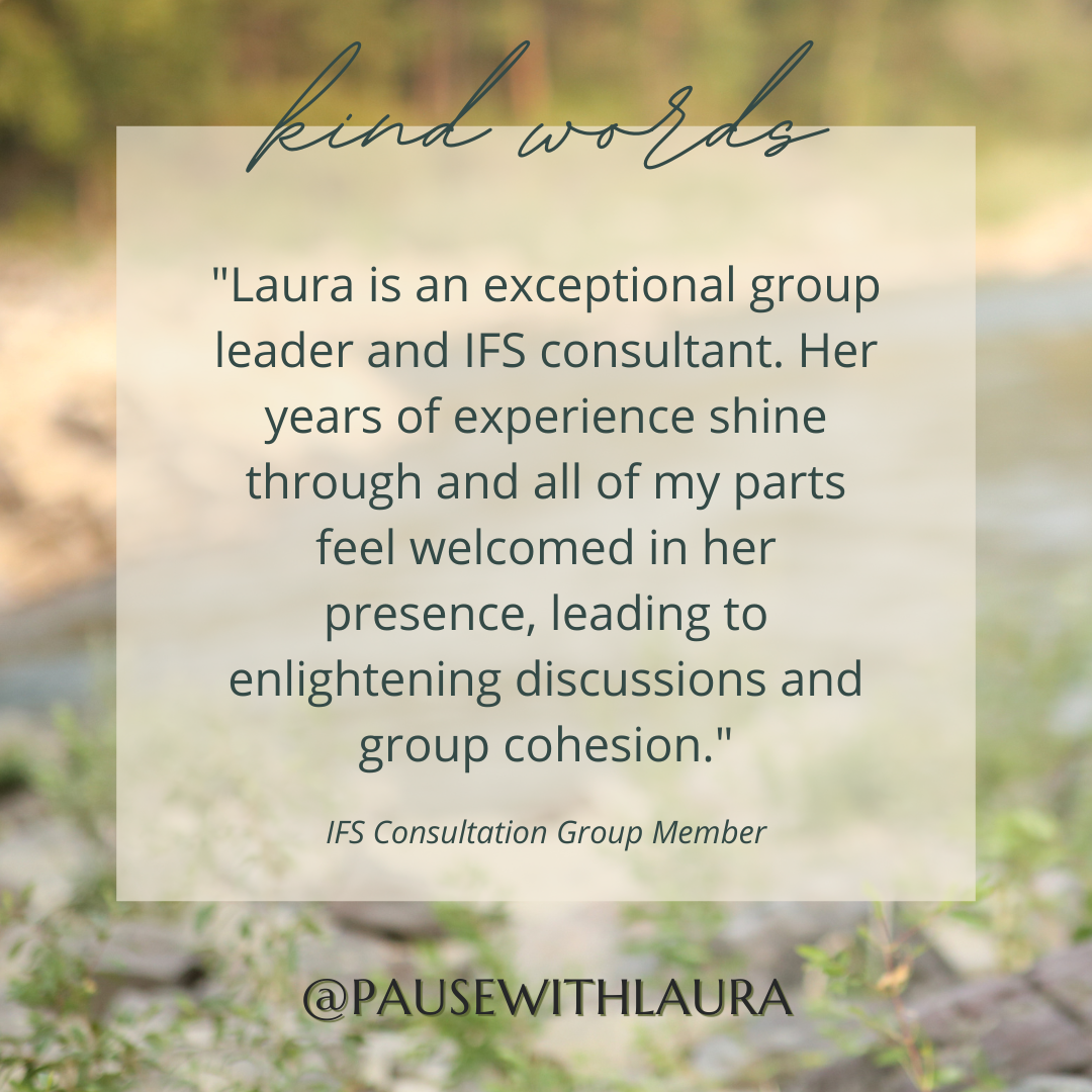 Written testimonial describing Laura Schmidt as an experienced IFS consultant who creates a welcoming and cohesive group experience