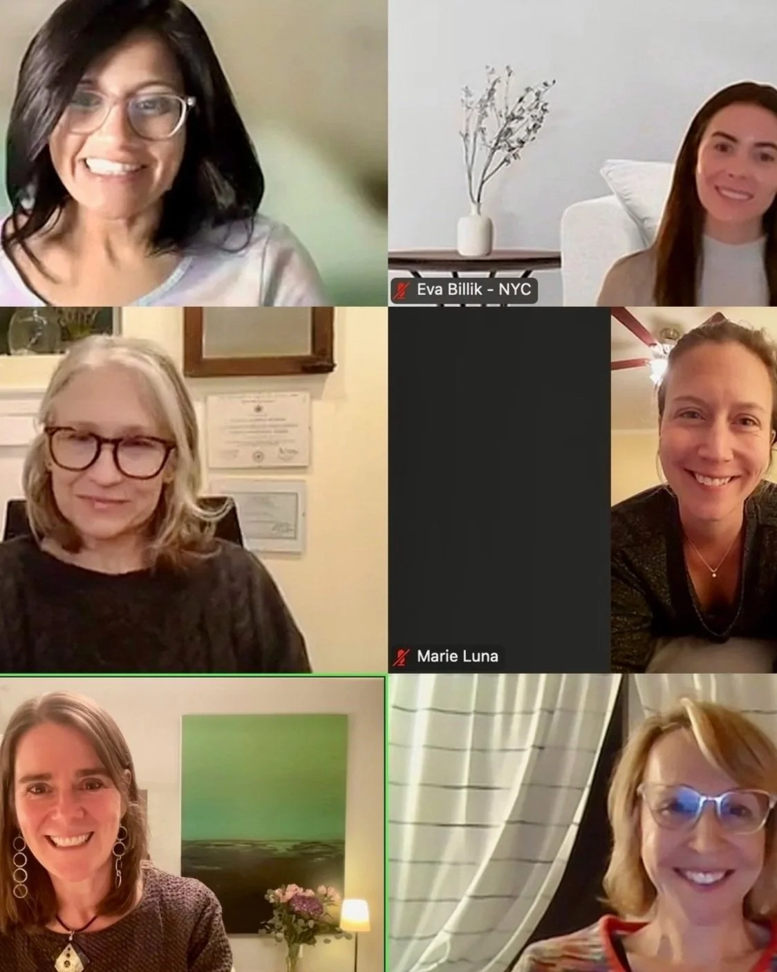 Guided meditation for people-pleasing parts with Laura Schmidt in an IFS group setting