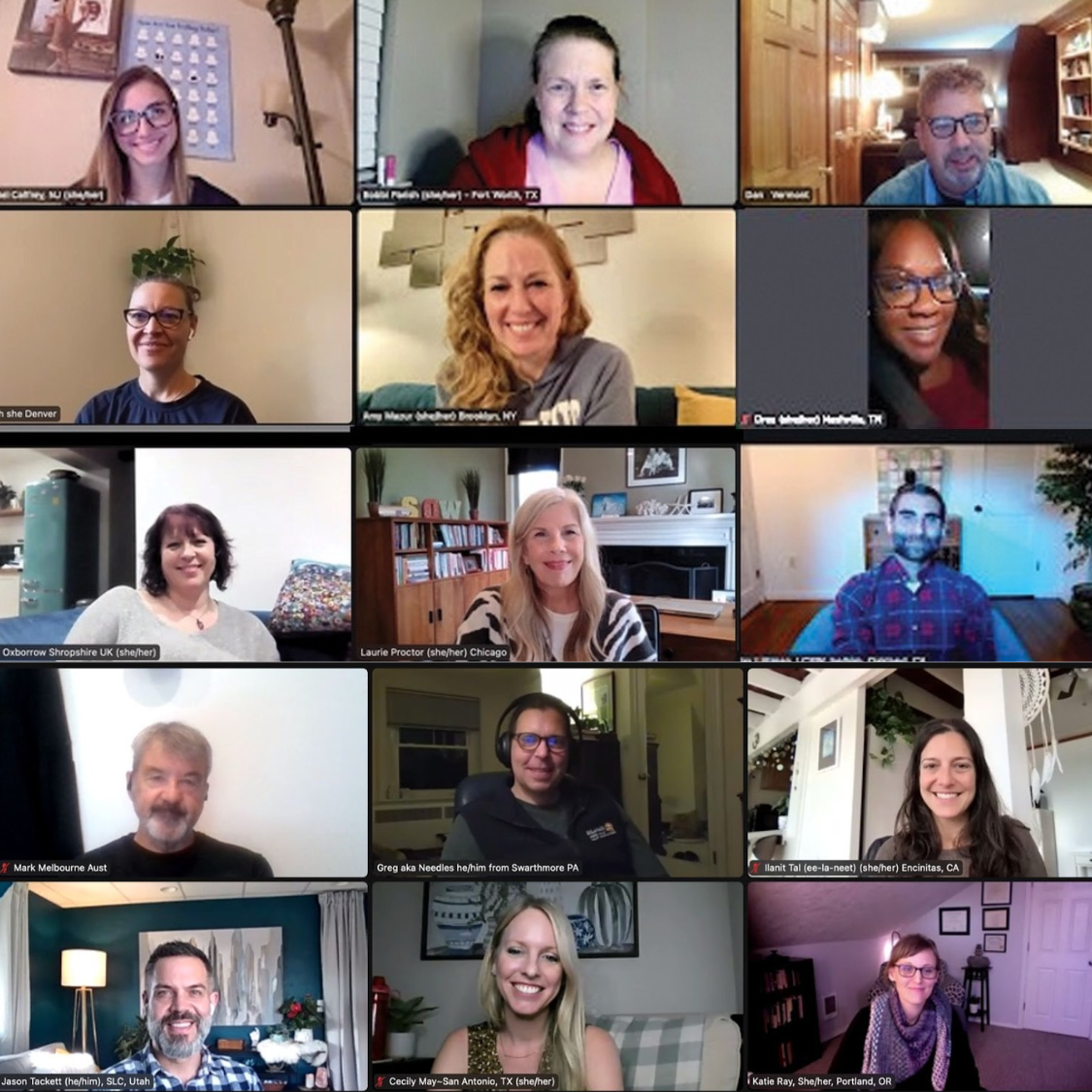 Online IFS consultation group with therapists in a virtual supervision session from multiple locations