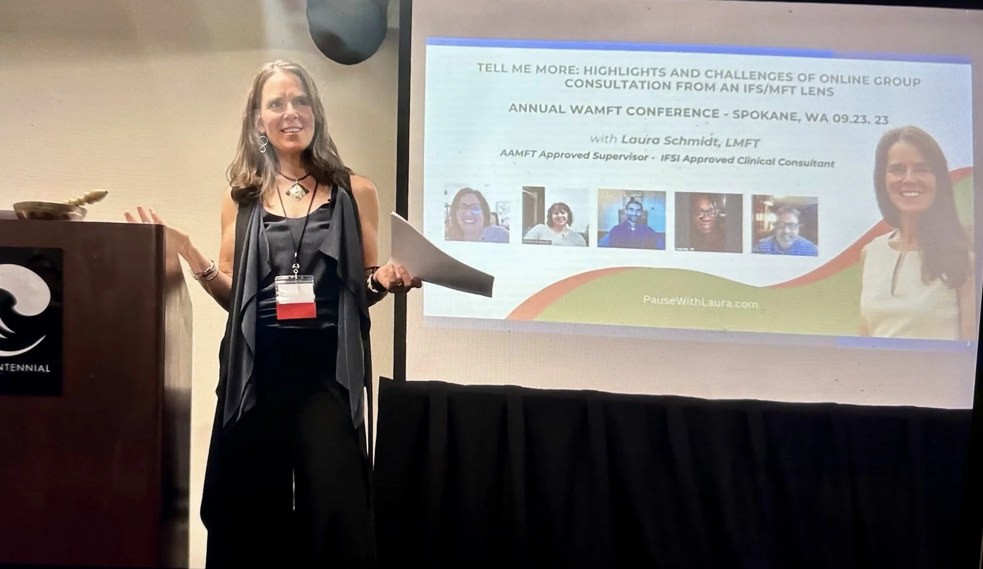 Laura Schmidt speaking at a professional conference presentation