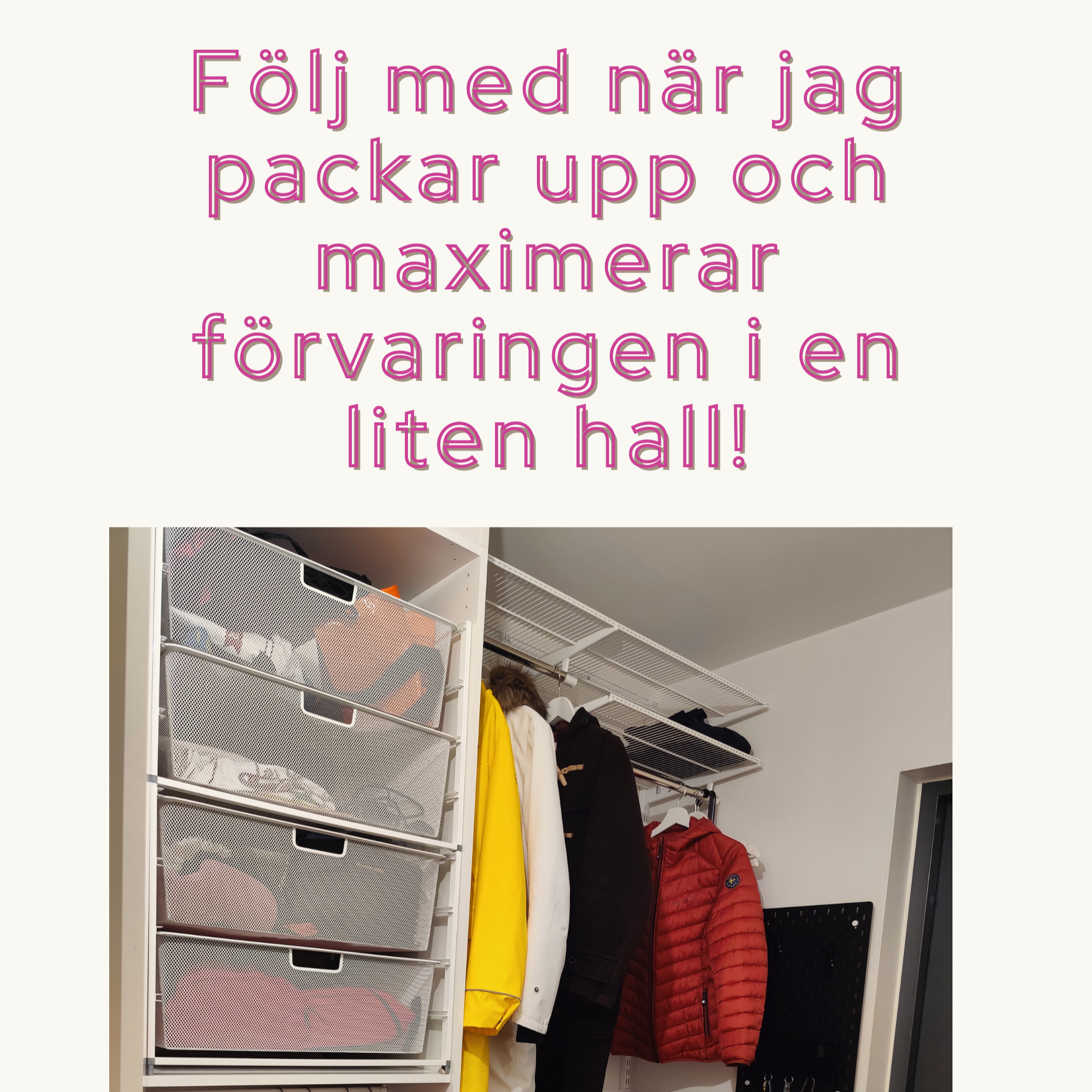 Triinu+hall.png