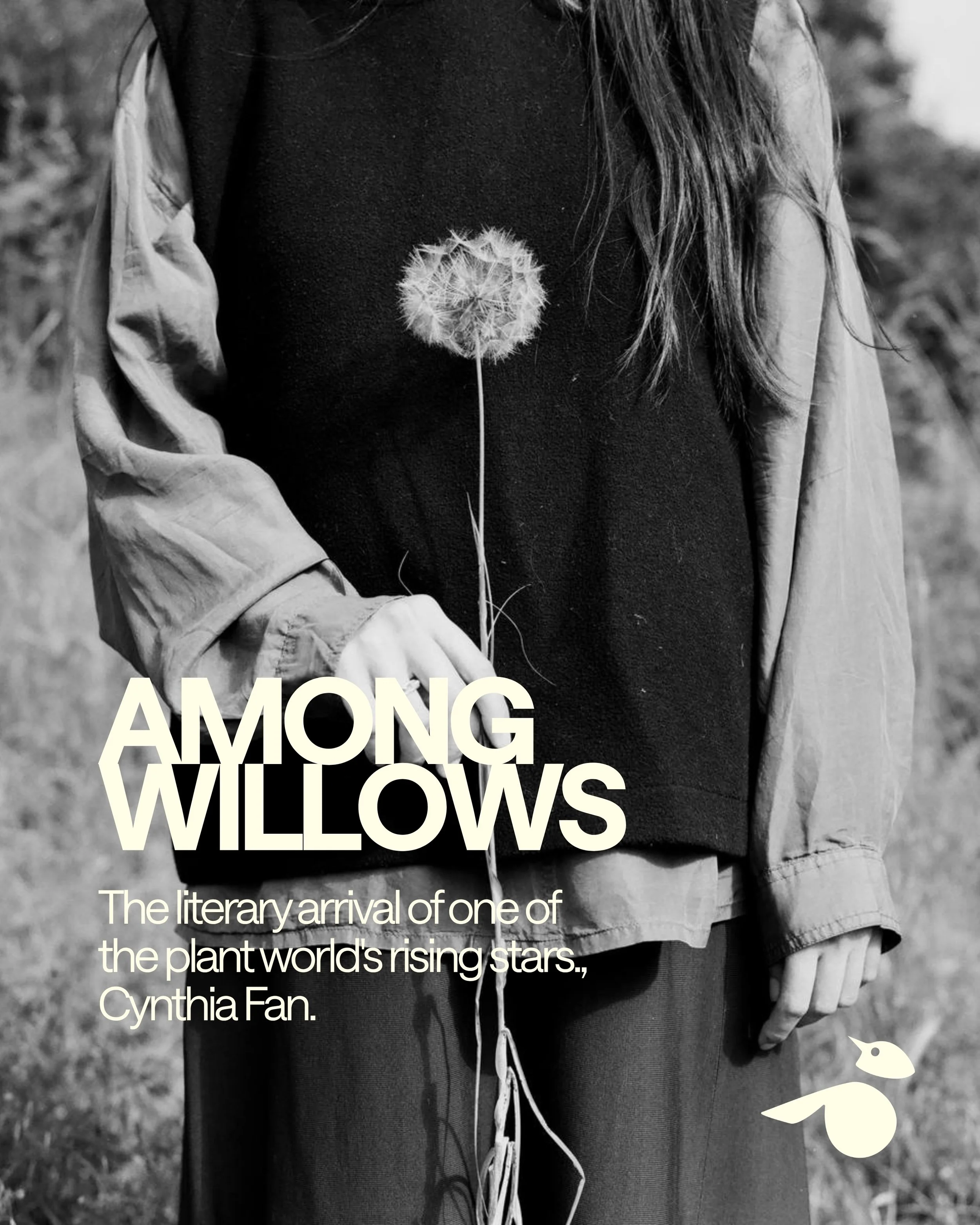 Cynthia-Fan-Batis-Books (2).jpg