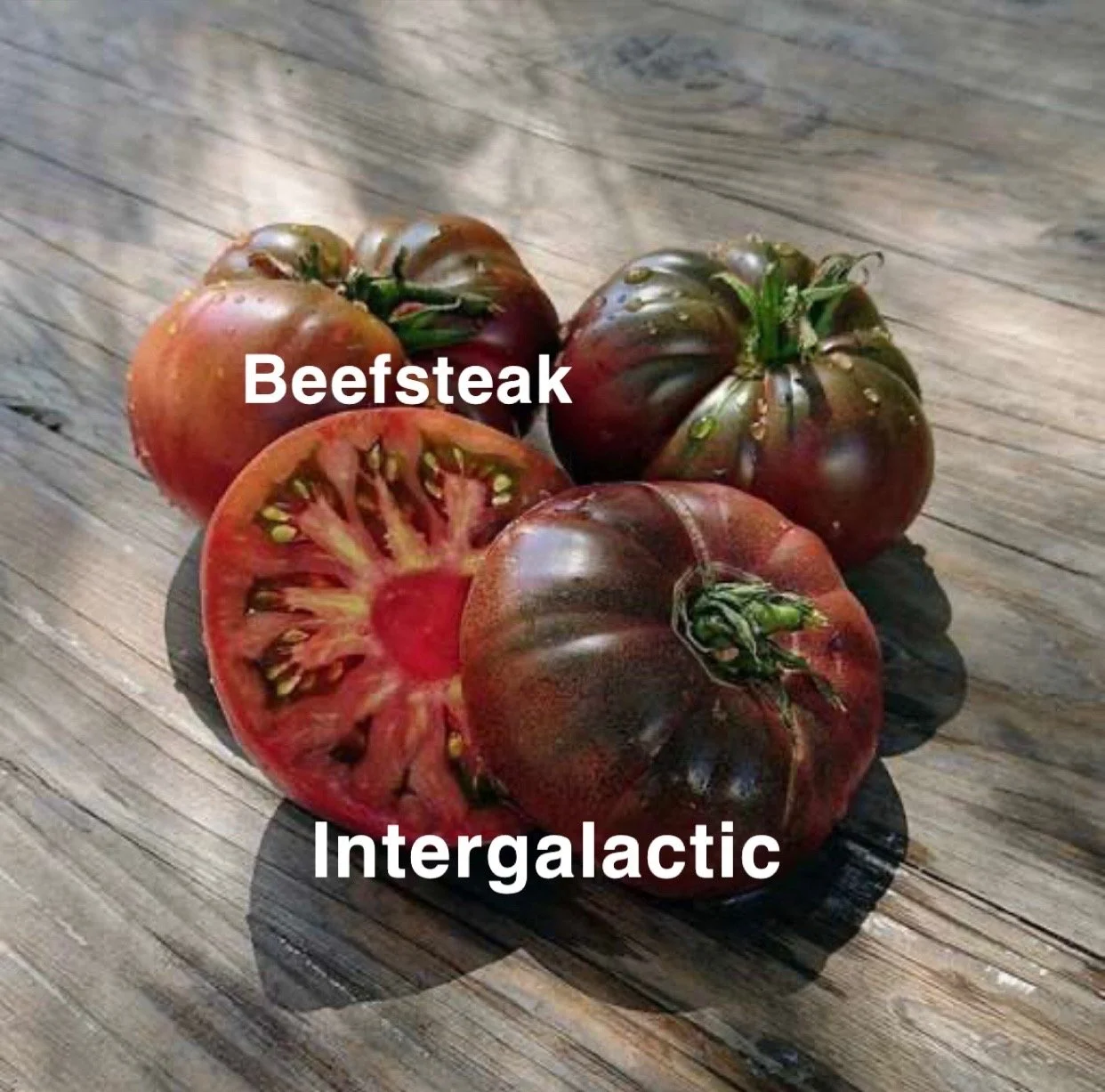The Intergalactic Heirloom Beefsteak is a cosmic‑looking showpiece—big, dramatic, and bursting with color that looks almost otherworldly. The flesh is dense, richly colored, and intensely flavorful. Expect a bold, sweet‑savory profile with deep earth