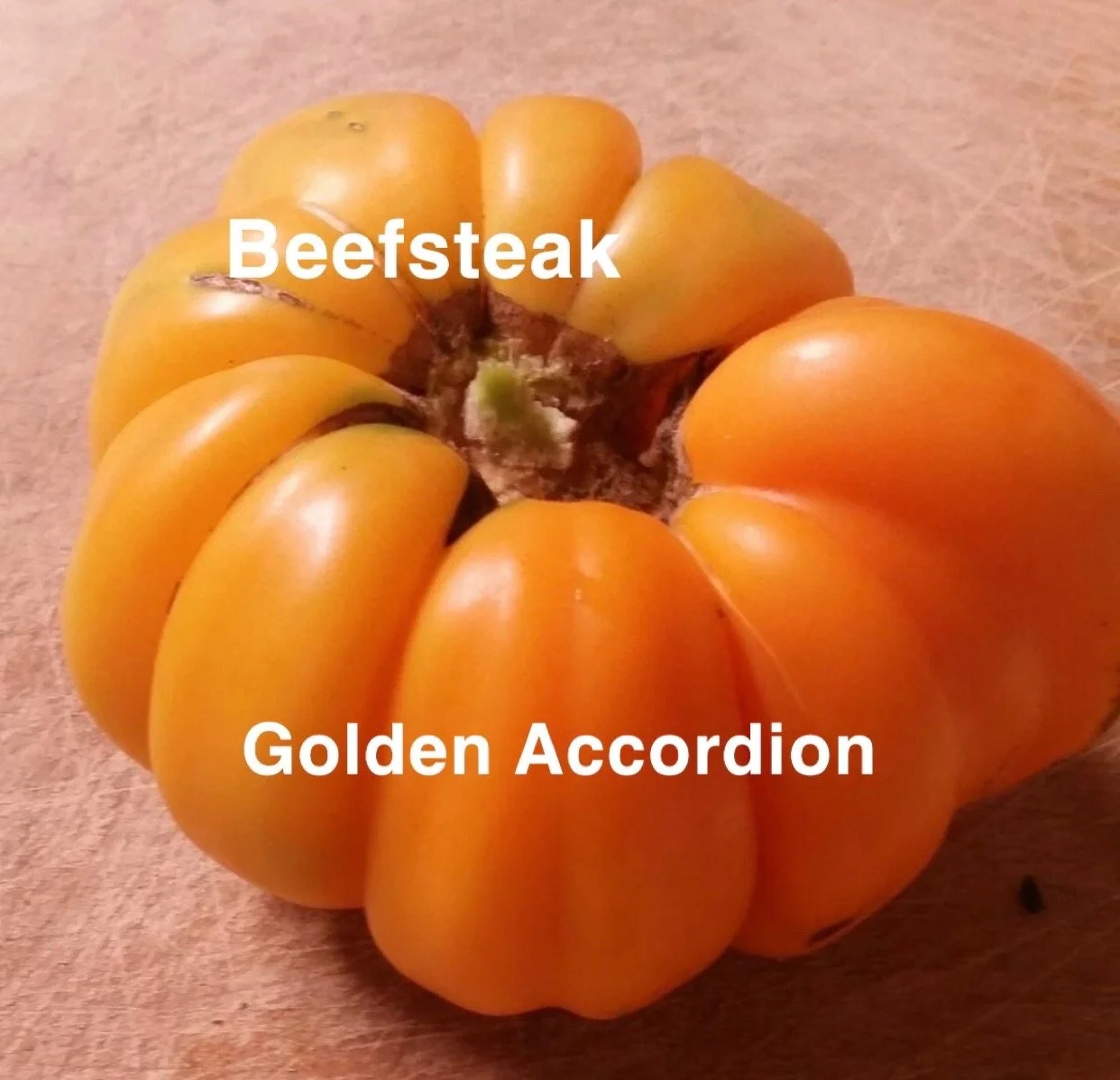 The Golden Accordion Heirloom Beefsteak is a show‑stopping, deeply ribbed tomato with dramatic folds that look like a hand‑carved sculpture. The flesh is meaty, low‑acid, and mildly sweet with a smooth, creamy finish—perfect for slicing, stuffing, ro