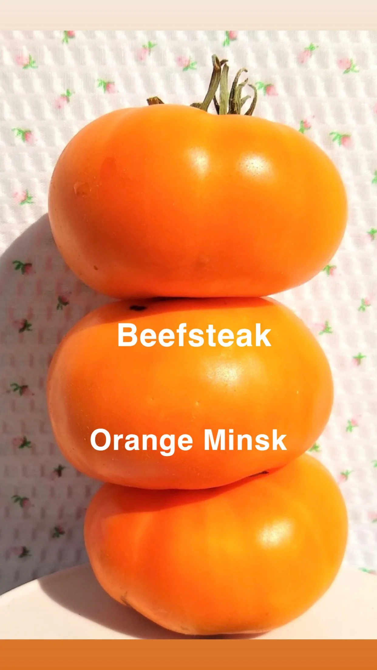 The Orange Minsk Heirloom Beefsteak is a glowing, richly flavored slicer known for its buttery orange flesh, silky texture, and exceptionally sweet, low‑acid flavor. The flesh is dense, velvety, and almost creamy—perfect for thick slicing, sandwiches