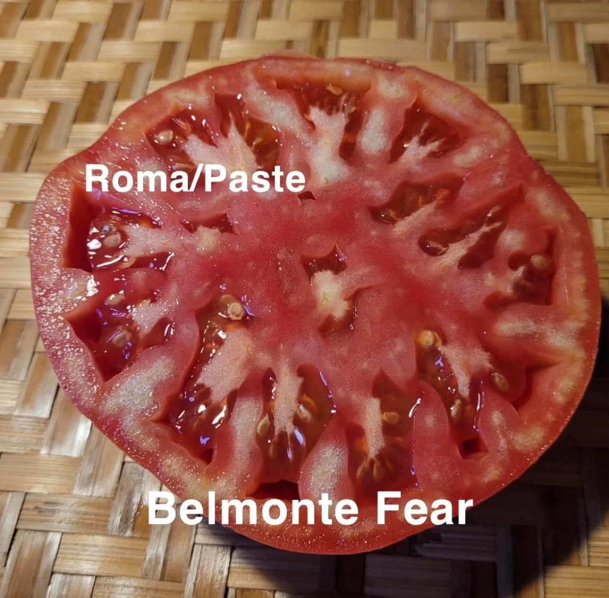 The Belmonte Fear Heirloom Roma/Paste Tomato is a striking, high‑intensity paste variety known for its deep color, dense flesh, and bold, concentrated flavor. 

The flesh is exceptionally thick and meaty with very low moisture, making it ideal for sa
