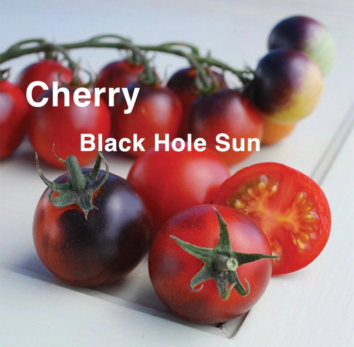 The Black Hole Sun Heirloom Cherry Tomato is a dramatic, high‑contrast variety that looks almost cosmic on the vine. The flavor is bold and layered: sweet at first bite with a smooth acidity and a rich, almost dark‑fruit undertone. Juicy, thin‑skinne