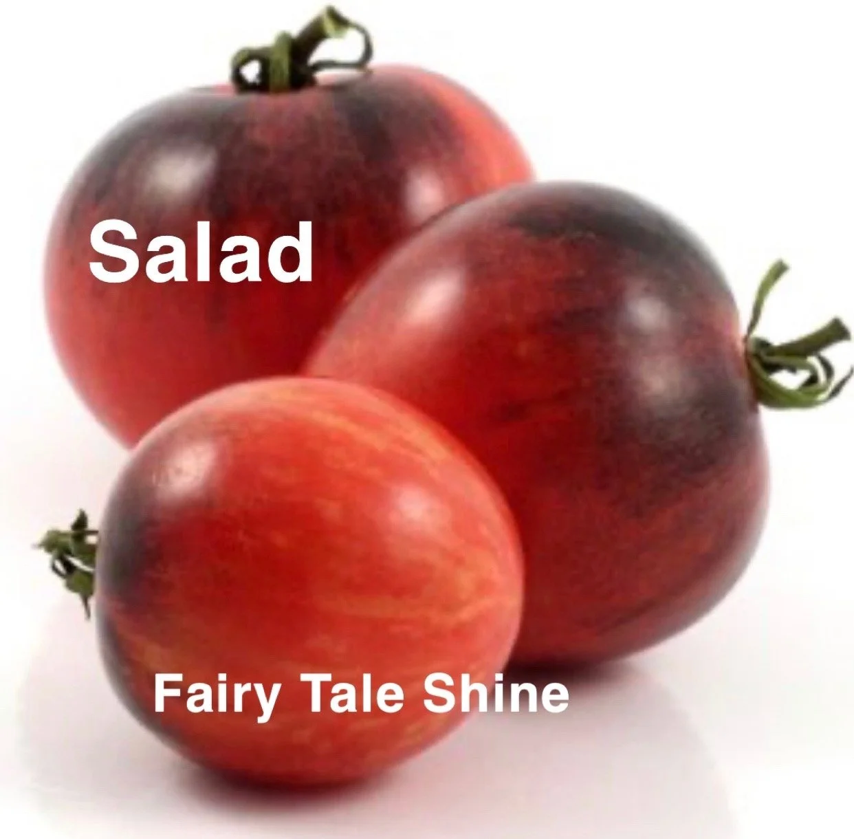The Fairy Tale Shine Heirloom Salad Tomato is a whimsical, beautifully patterned variety that looks like it stepped straight out of a storybook. The flavor is bright and lively: sweet upfront with a crisp, refreshing acidity, making it perfect for sa