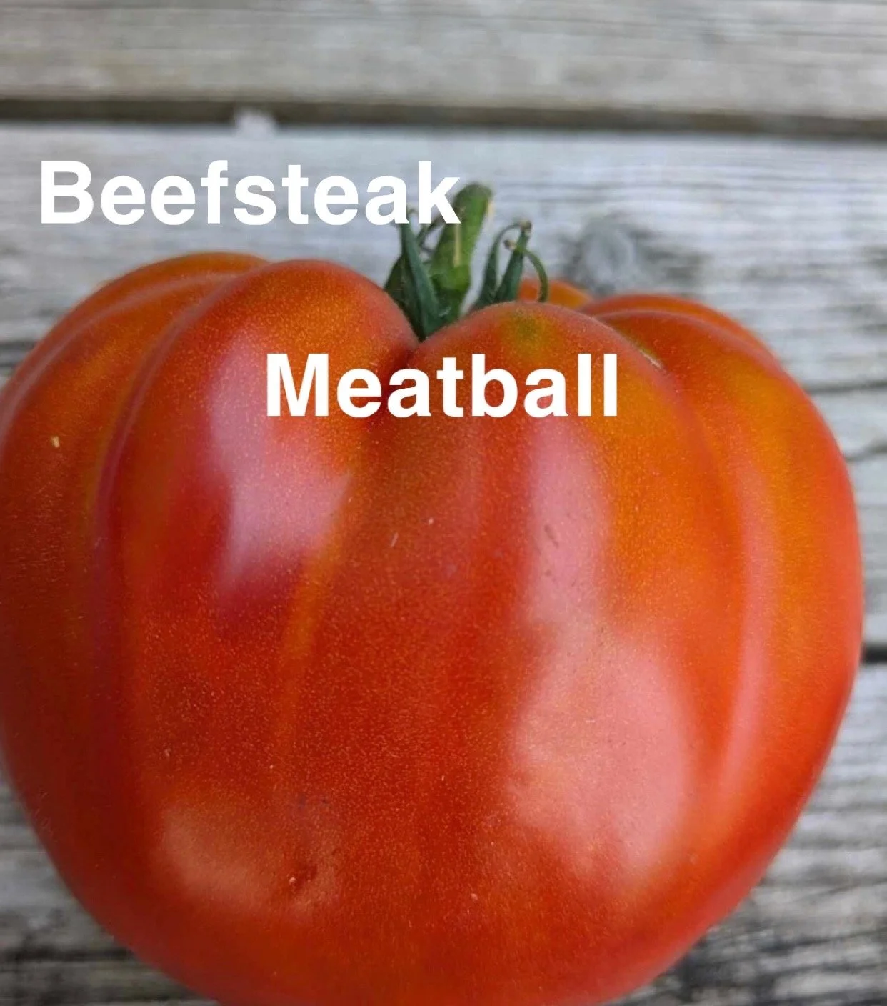 The Meatball Heirloom Beefsteak is a dense, richly flavored slicer known for its thick, meaty flesh and classic old‑fashioned tomato taste. The flavor is bold and savory with a natural sweetness and balanced acidity—ideal for slicing, stuffing, grill