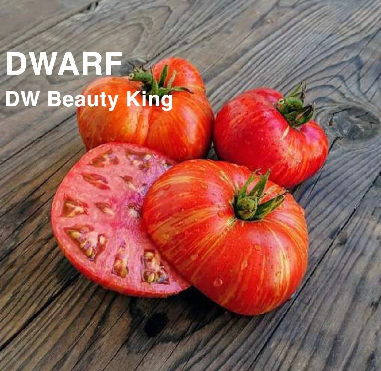The Dwarf DW Beauty King is a compact, powerhouse beefsteak tomato that delivers full‑sized flavor on a manageable, patio‑friendly plant. This striking heirloom variety produces medium‑to‑large beefsteaks. The flavor is rich, sweet, and balanced with