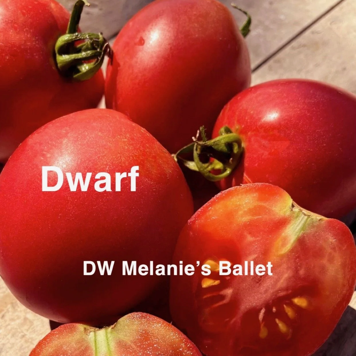 DW Melanie’s Ballet is a graceful and eye‑catching dwarf variety that produces small, beautifully shaped fruit with a lively, uplifting flavor. The flavor is bright, sweet, and lightly tangy, with a refreshing clarity that makes the fruit feel crisp 