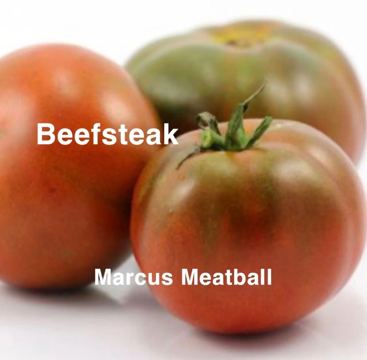 The Marcus Meatball Heirloom Beefsteak is a bold, heavy, deeply flavored slicer bred for growers who want maximum density and maximum impact. True to its name, Marcus Meatball delivers thick, meaty flesh, minimal gel, and a satisfying heft in the han