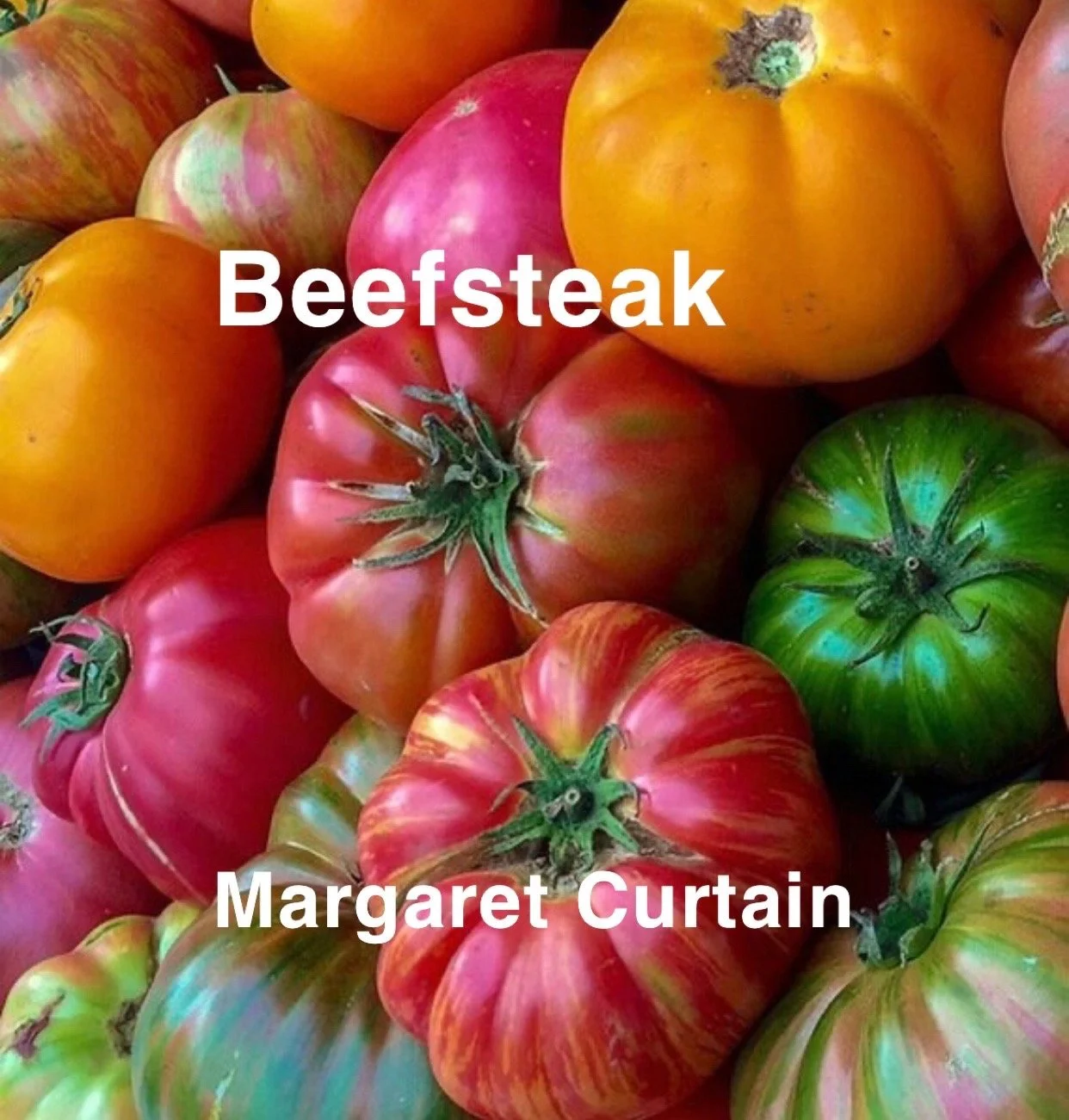 The Margaret Curtain Heirloom Beefsteak is a rare, richly colored slicer known for its deep, dusky tones and full, old‑world flavor. The flesh is dense, velvety, and meaty—ideal for thick slicing, sandwiches, caprese, and any dish where the tomato is