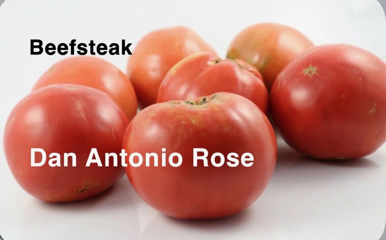 The Dan Antonio Rose Heirloom Beefsteak is a beautifully refined pink slicer known for its smooth texture, elegant color, and rich, classic heirloom flavor. The flesh is dense, velvety, and low in seeds—perfect for sandwiches, caprese, and any dish w