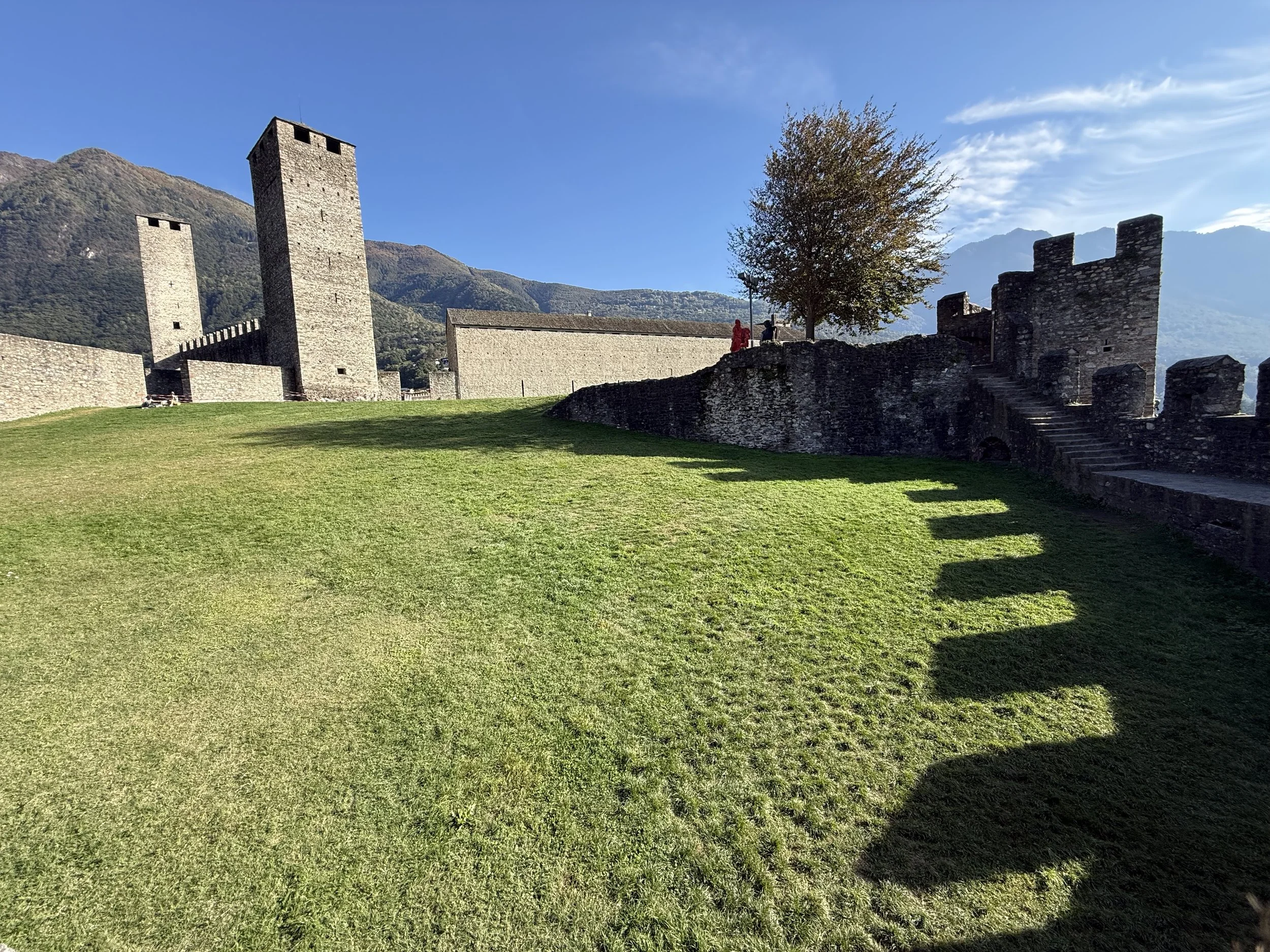 IMG_2028.jpeg