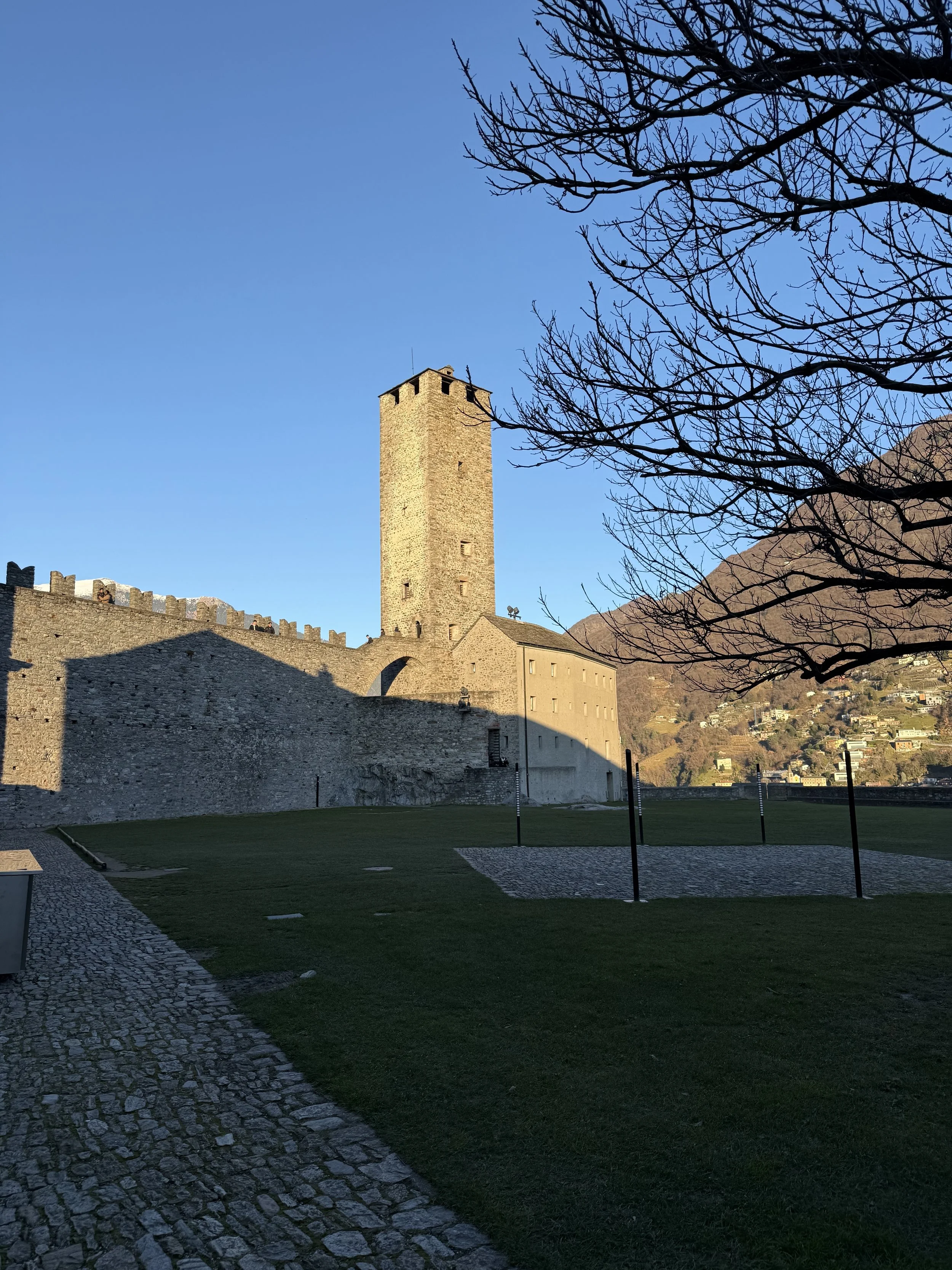 IMG_8699.jpeg