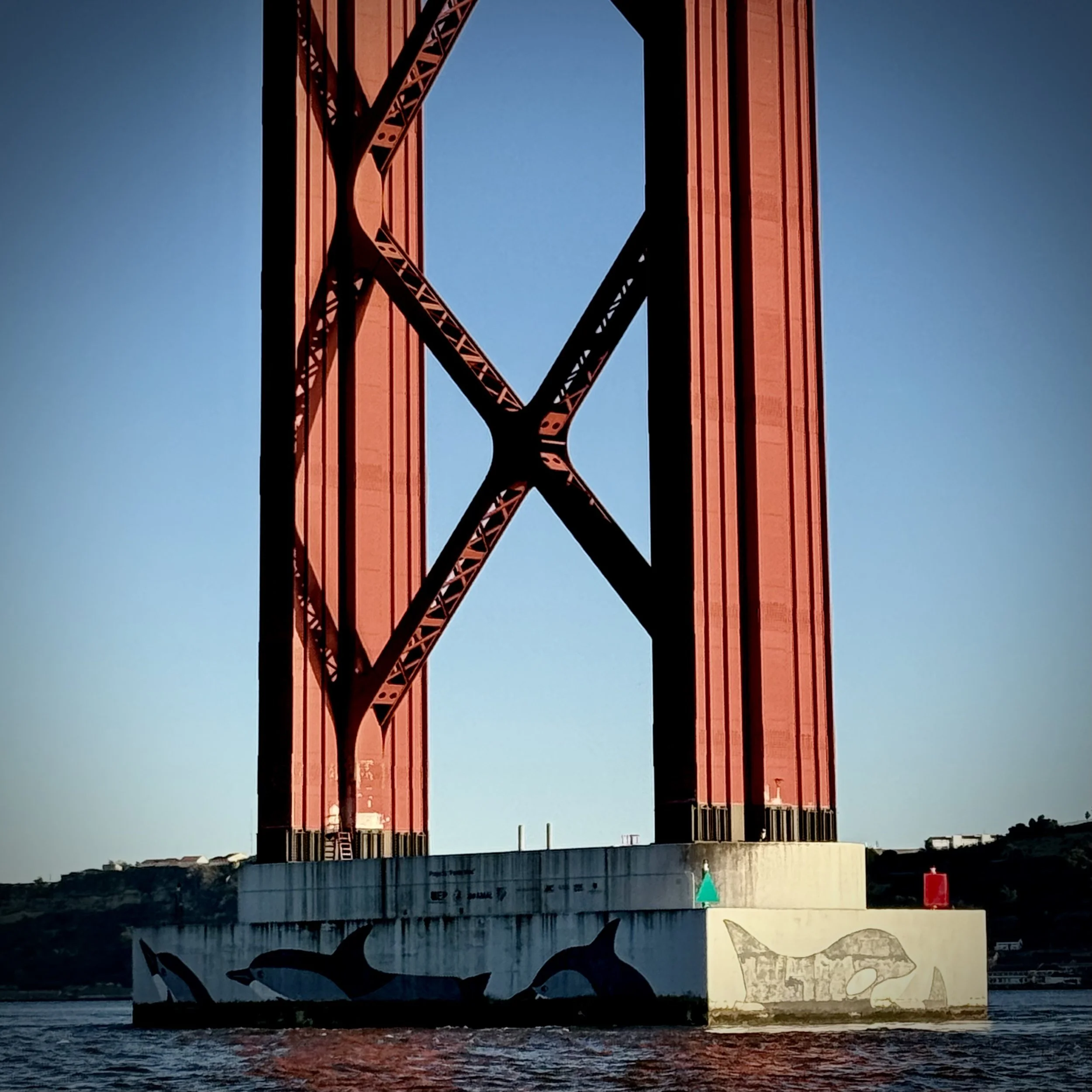 Painting of dolphins on the supports.