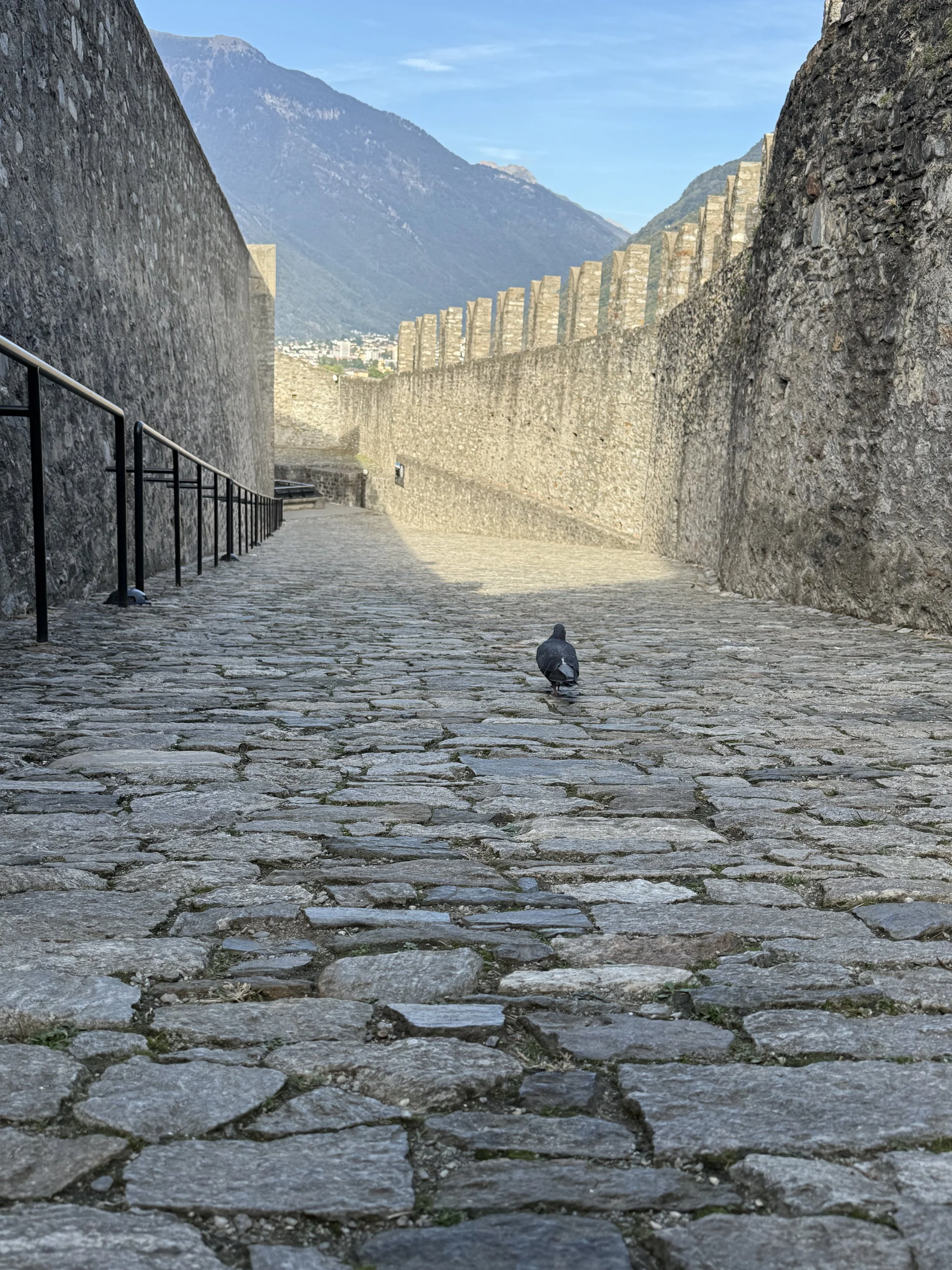 IMG_2040.jpeg