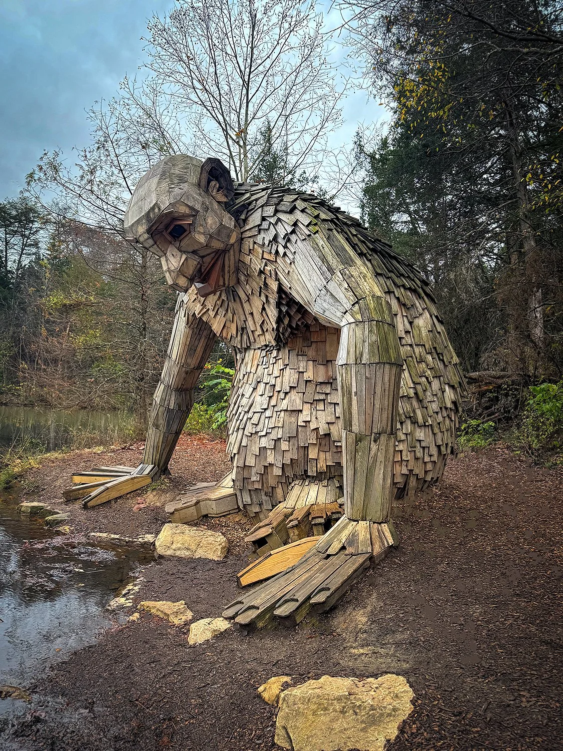 Forest Giant | Bernheim Forest & Arboretum | Clermont, Kentucky