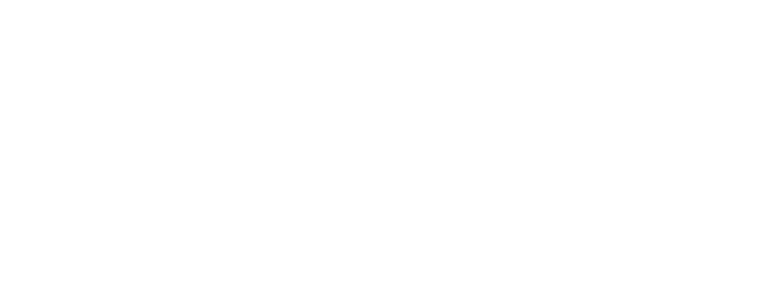 Storrio