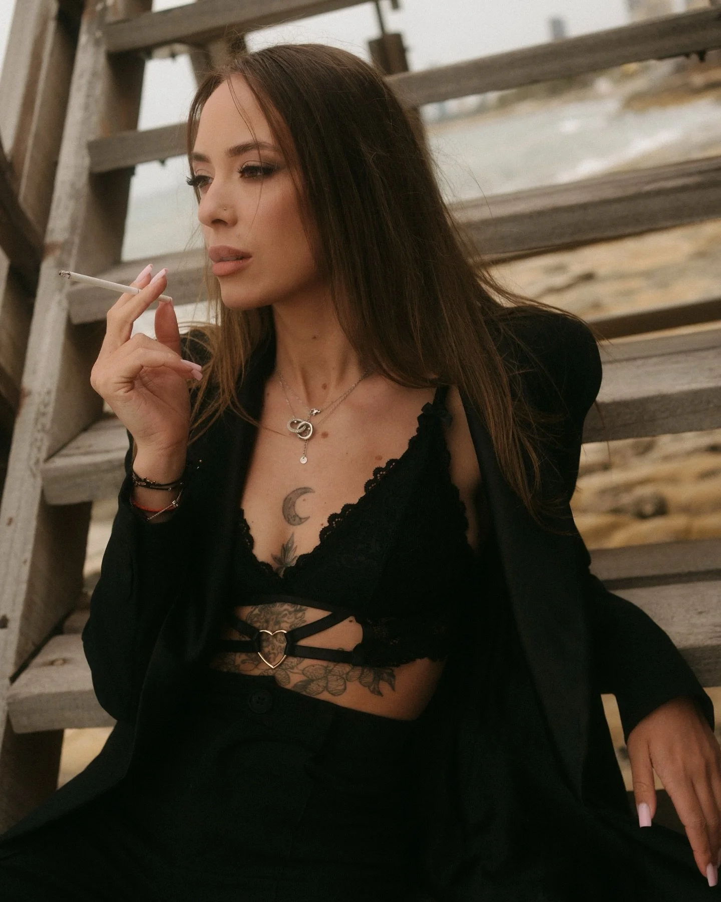 campaign energy 🐅