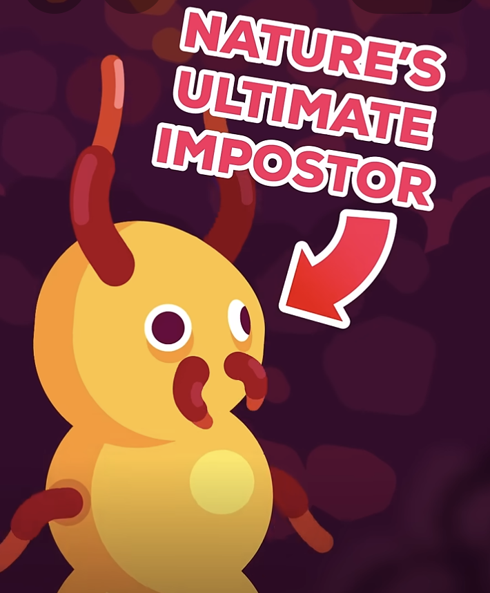 kurzgesagt youtube thumbnail about the ultimate imposter, a youtube short written by Lucas Kreuzer