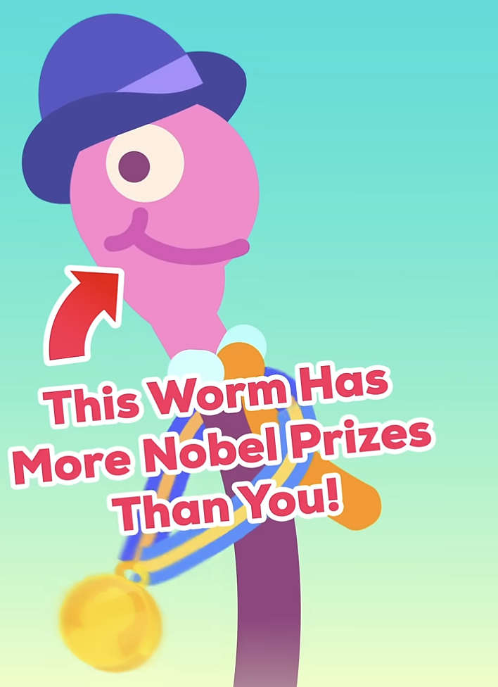 kurzgesagt youtube thumbnail about a nobel prize worm, a youtube short written by Lucas Kreuzer