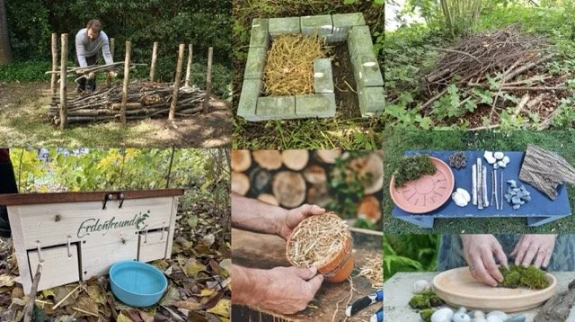 Lehrerfortbildung Umsetzung von Igel-Projekten im Schulgarten