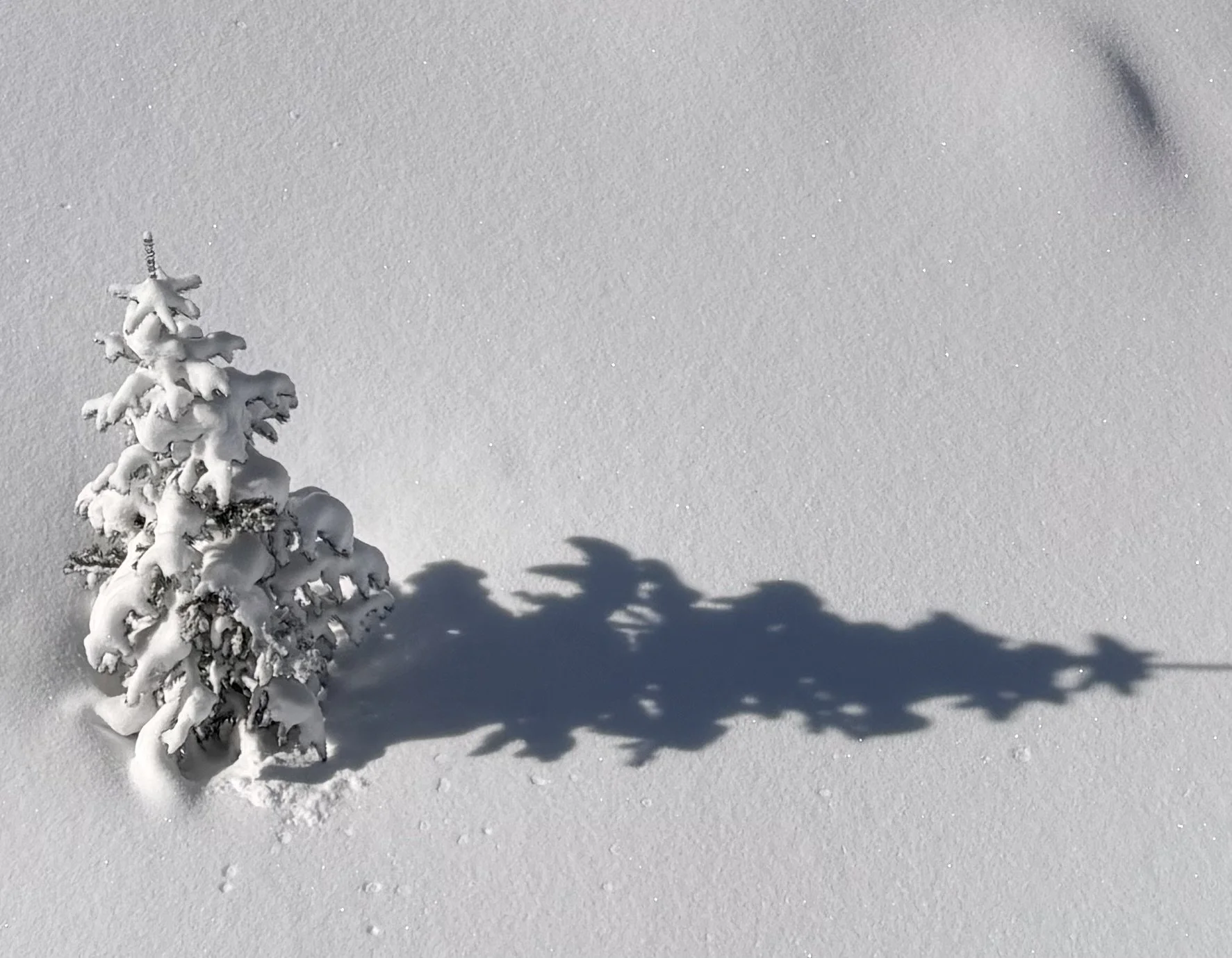 Awakened IFS-1 2026. Early Bird. Payment Plan.