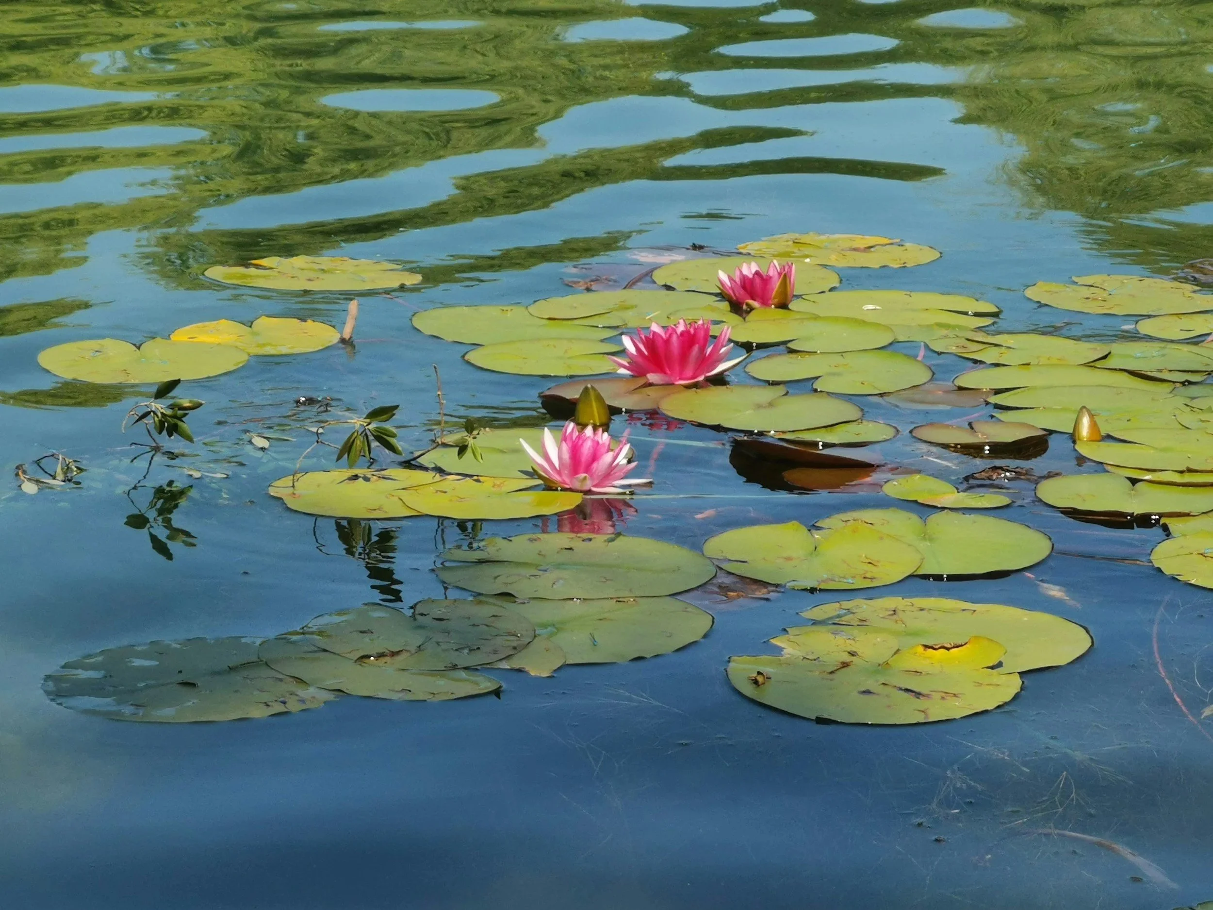 unsplash-image-owfiT5DtXE0.jpg