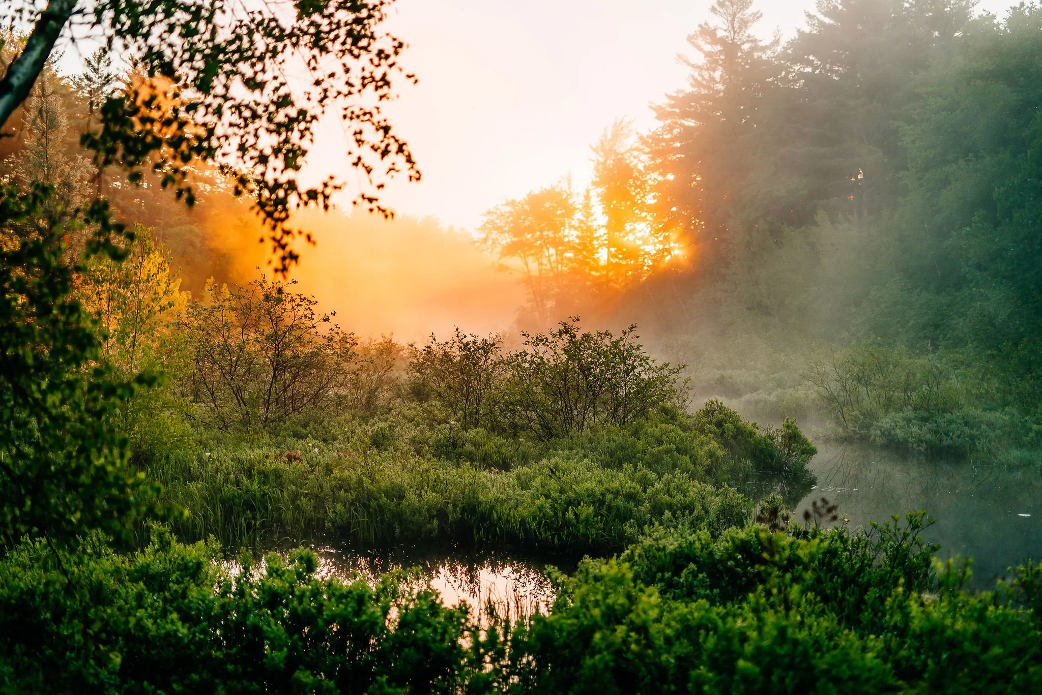 Coaching with IFS-2 2026. Payment Plan