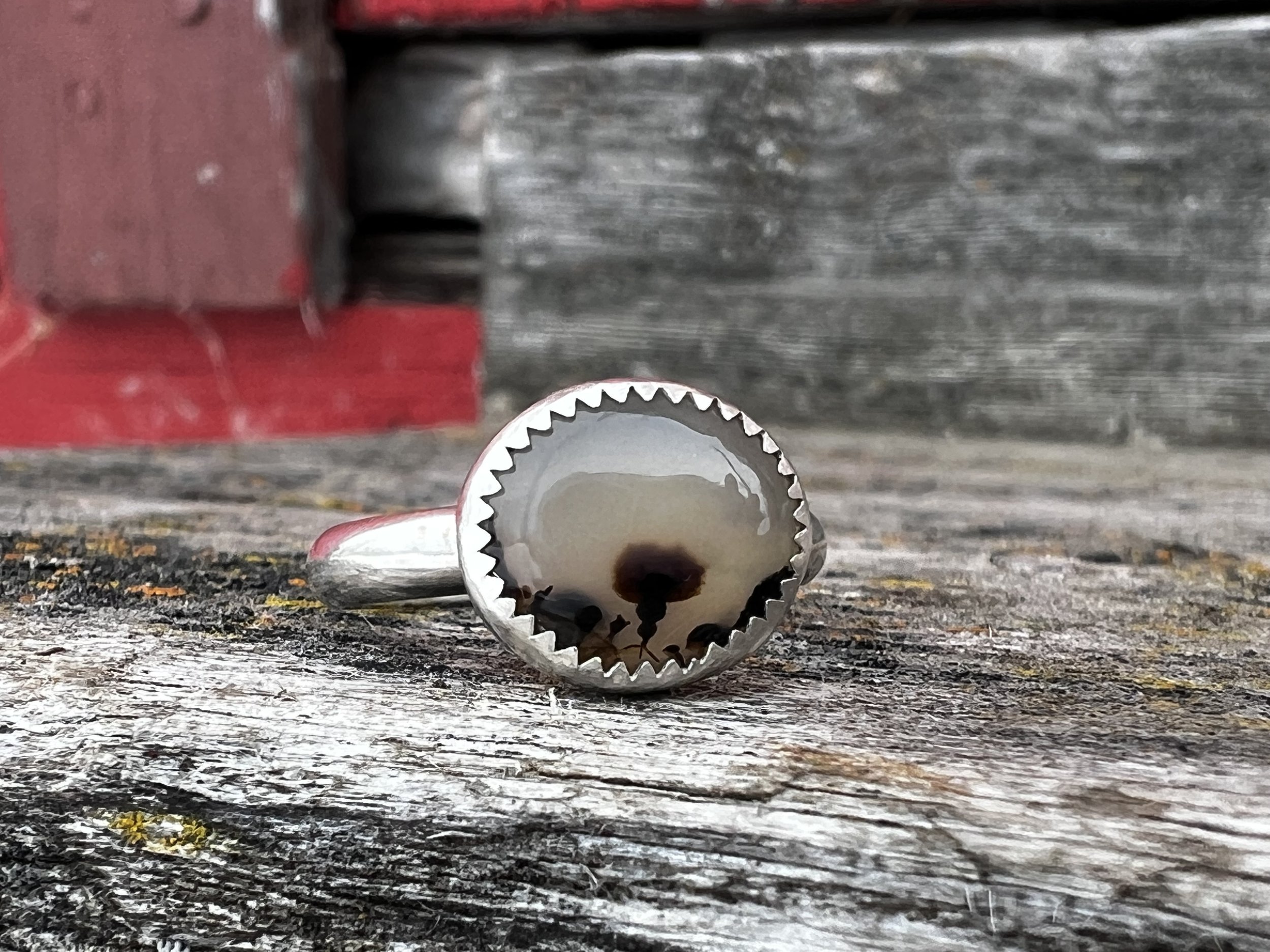 Forest Plumes Agate Ring 2.jpeg