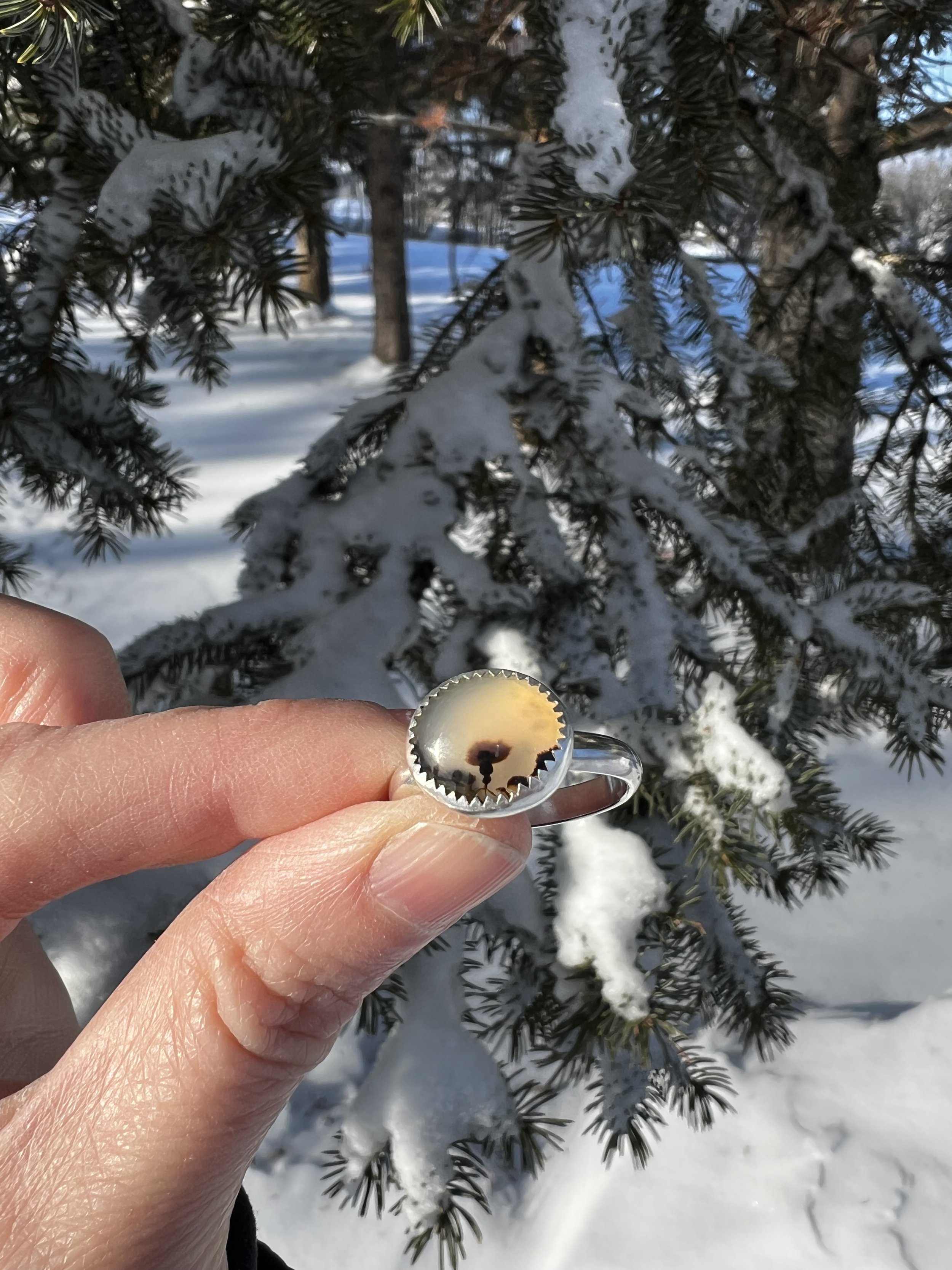 Forest Plumes Agate Ring 3.jpeg