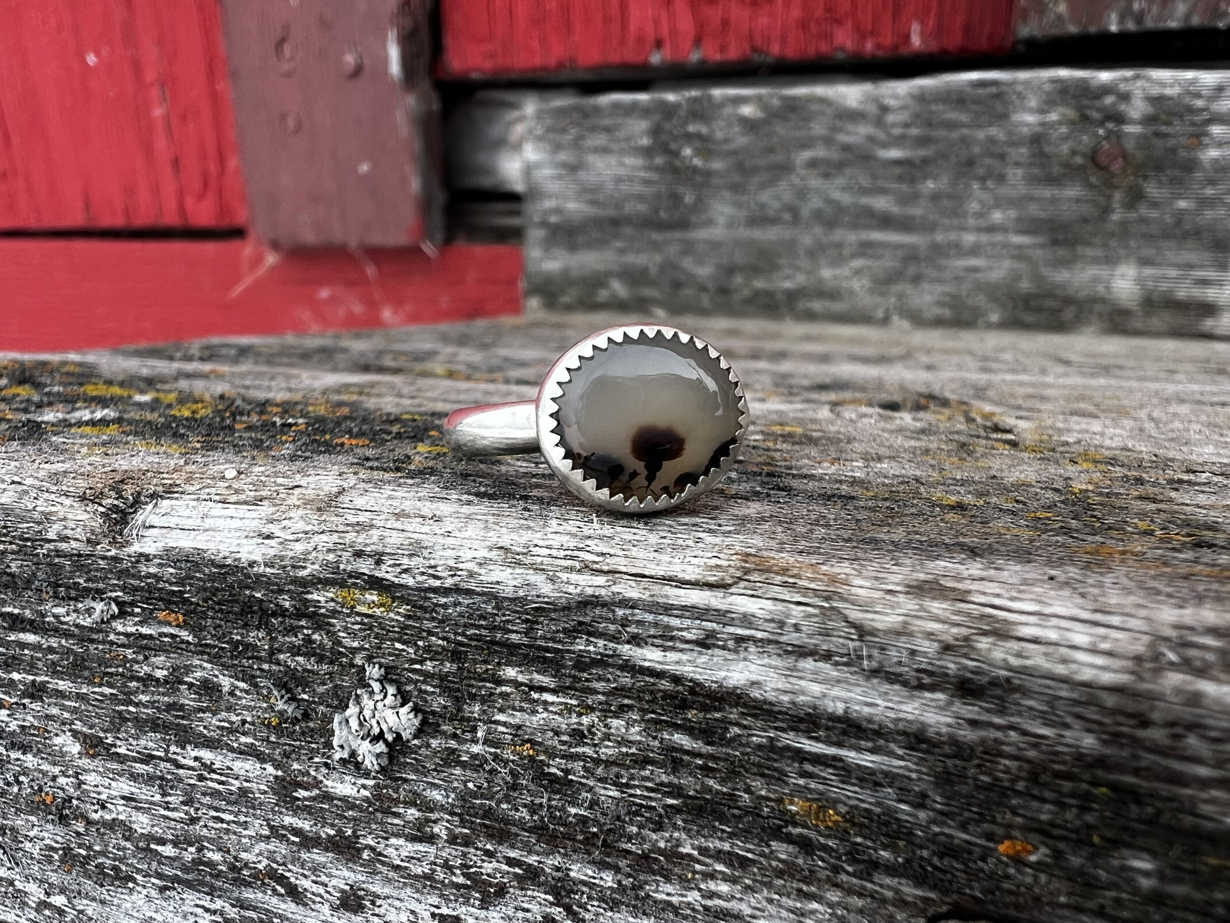 Forest Plumes Agate Ring.jpeg