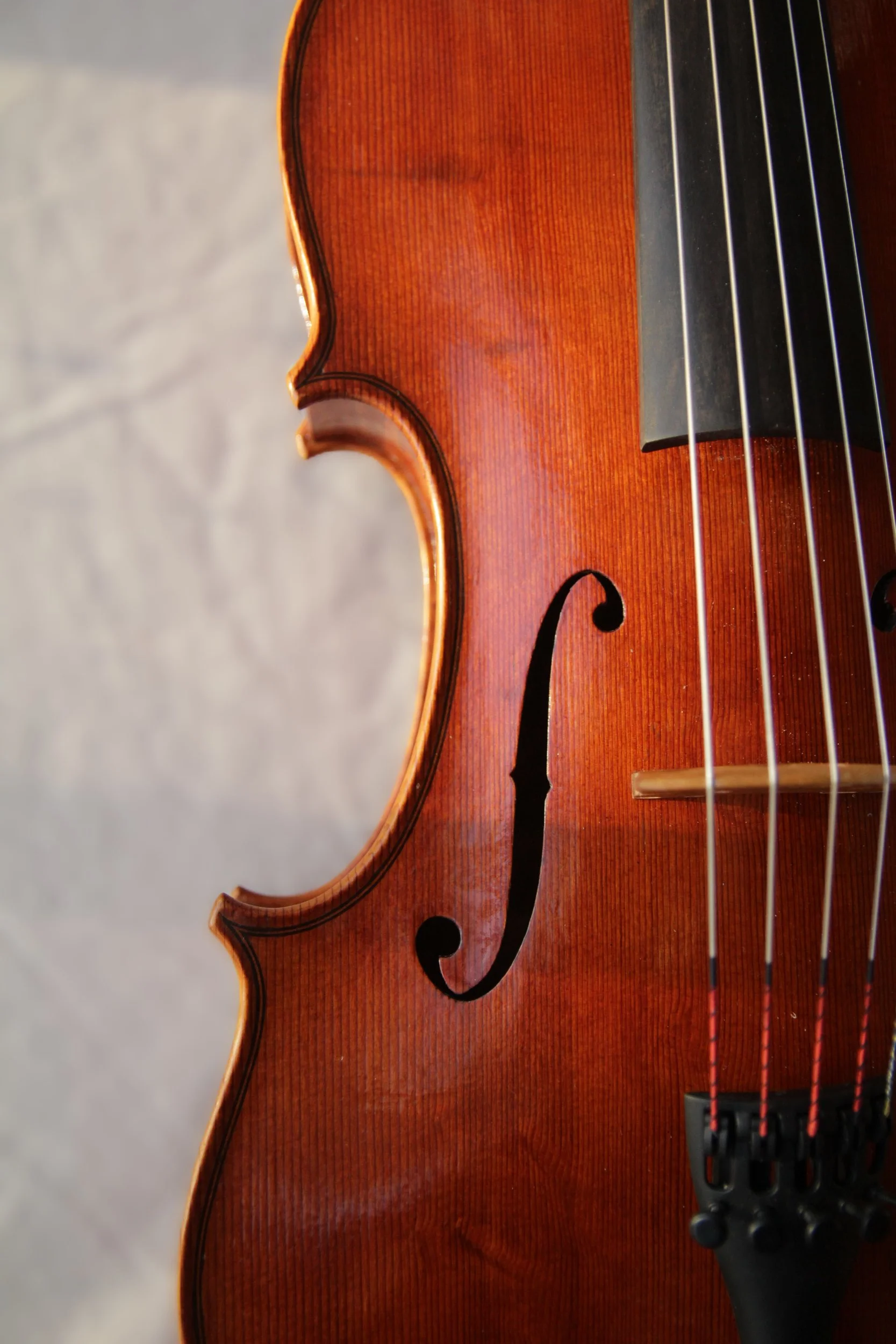 f-hole and corners of 5-string viola