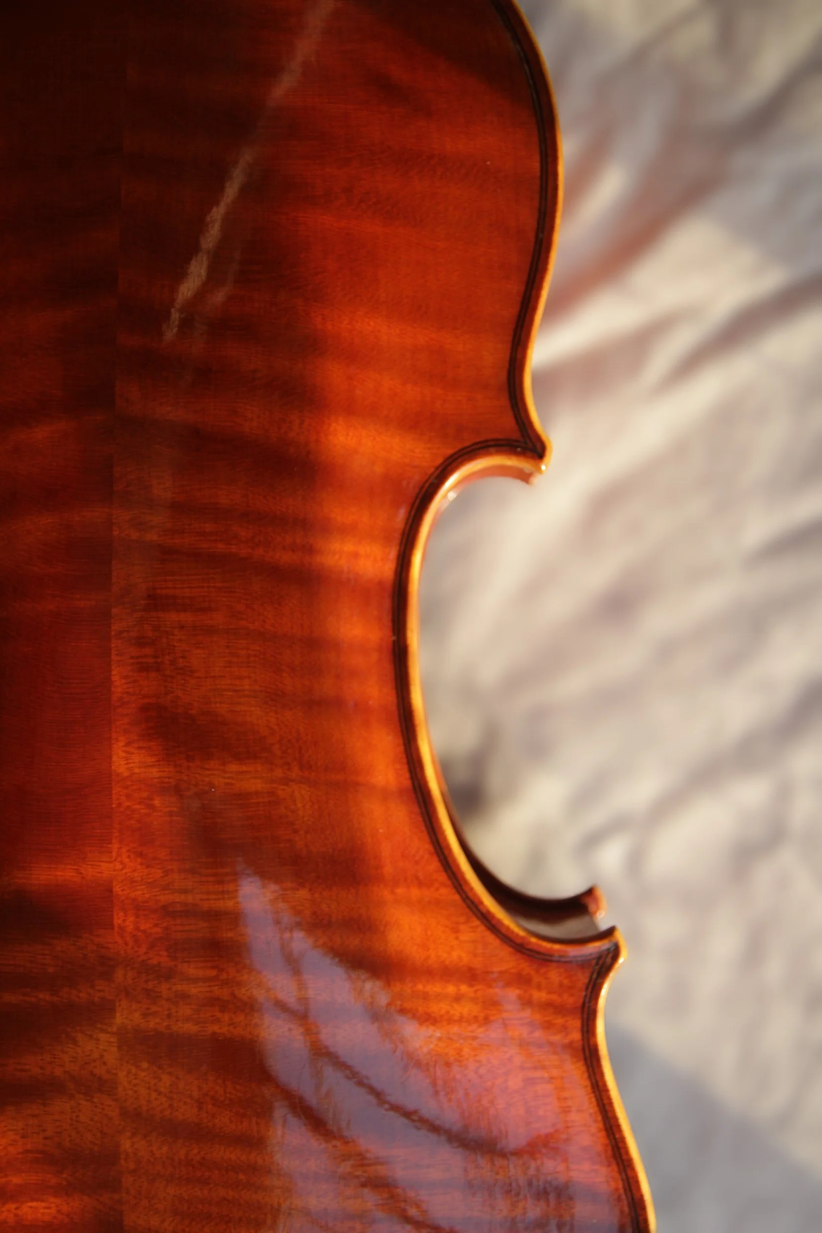 corner detail of instrument