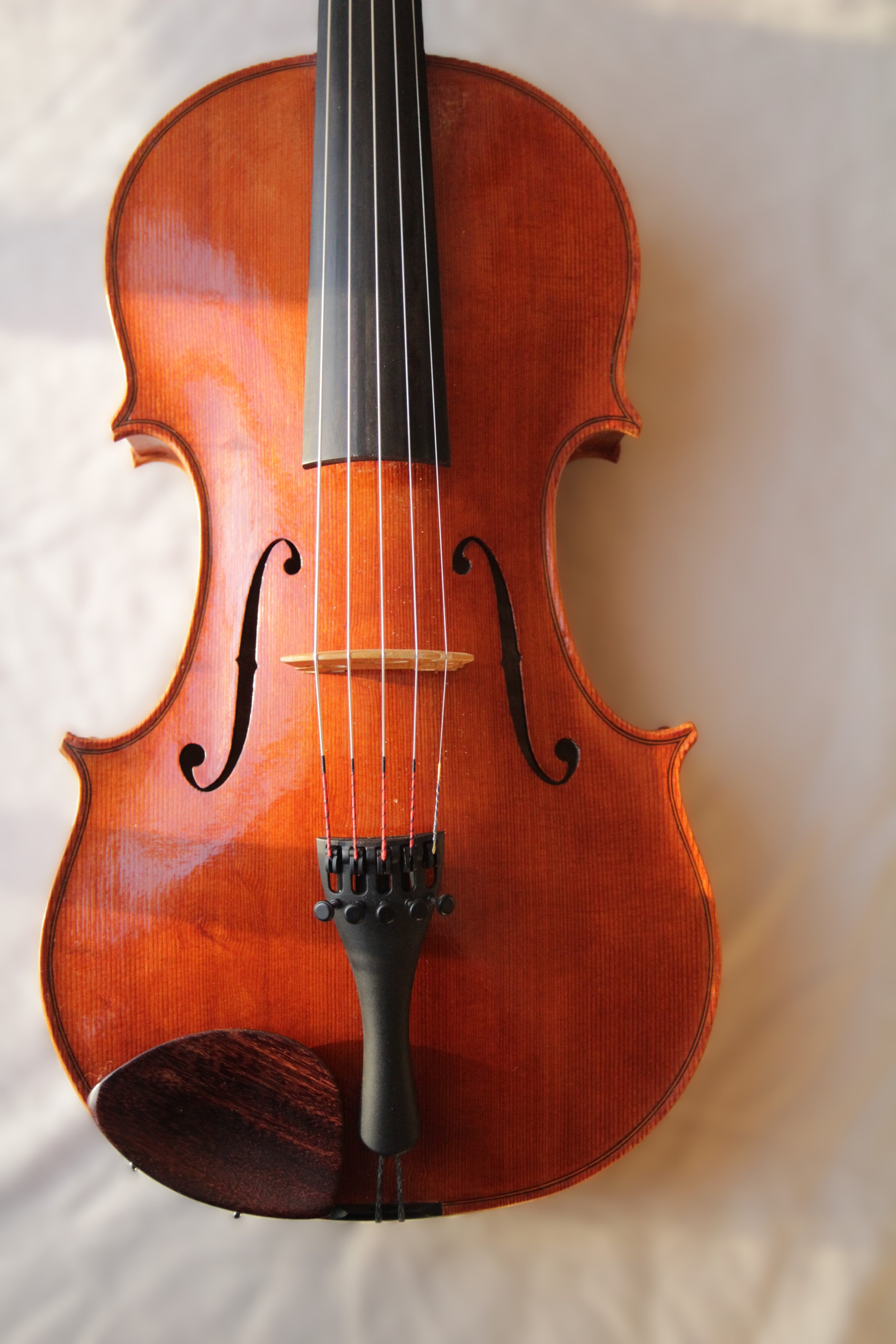 front view of 5-string viola