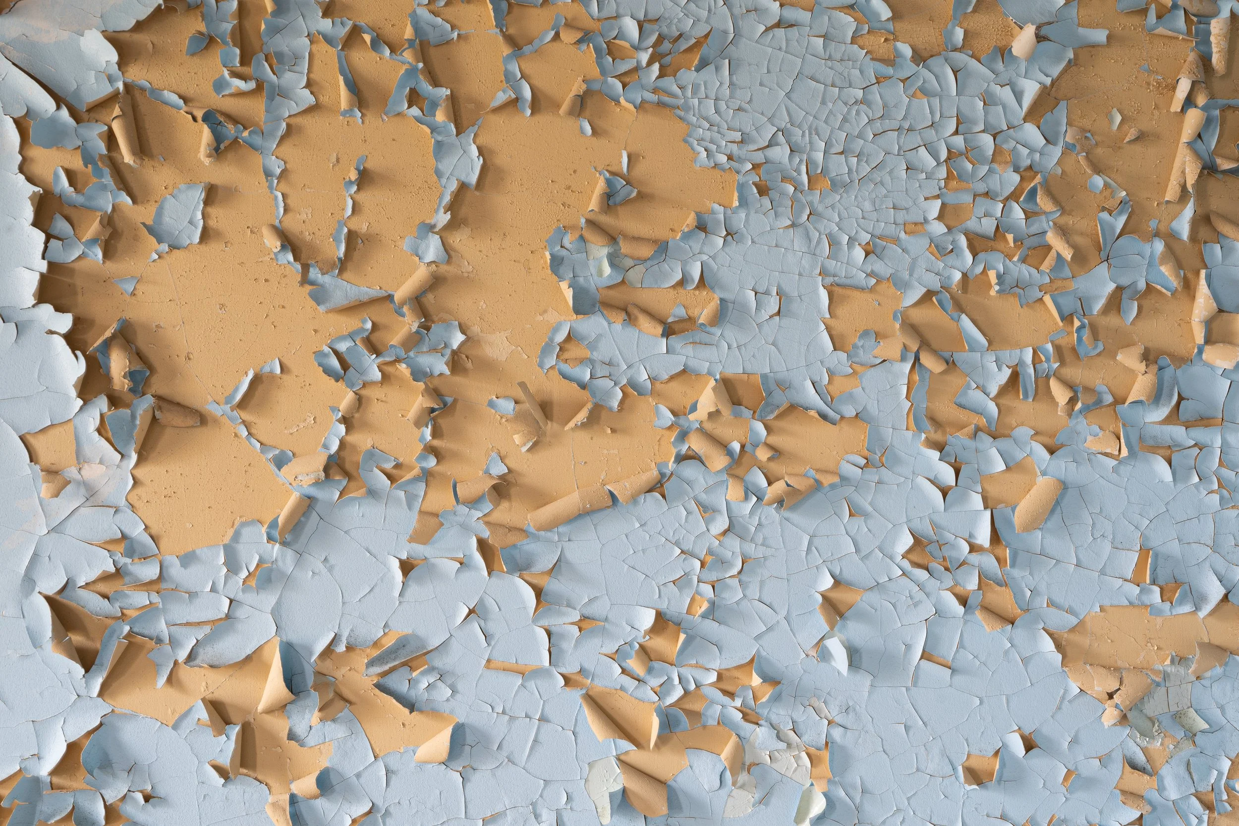 Paint Peels, State School, NY