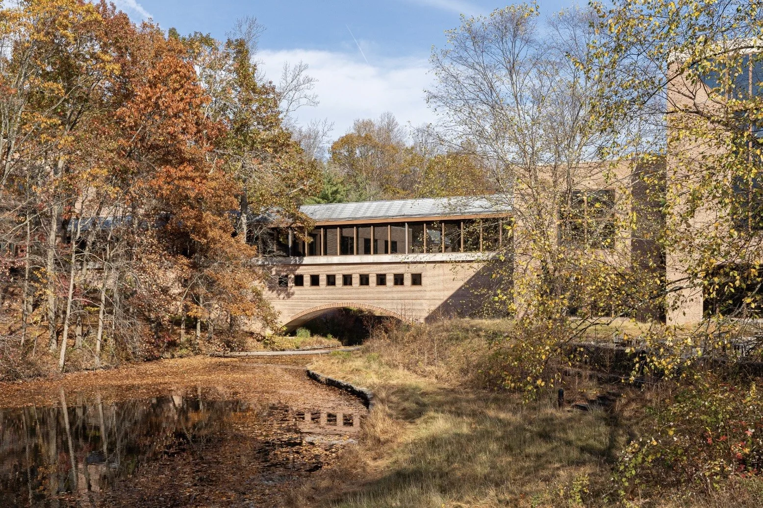 Bridge Over The Pond
