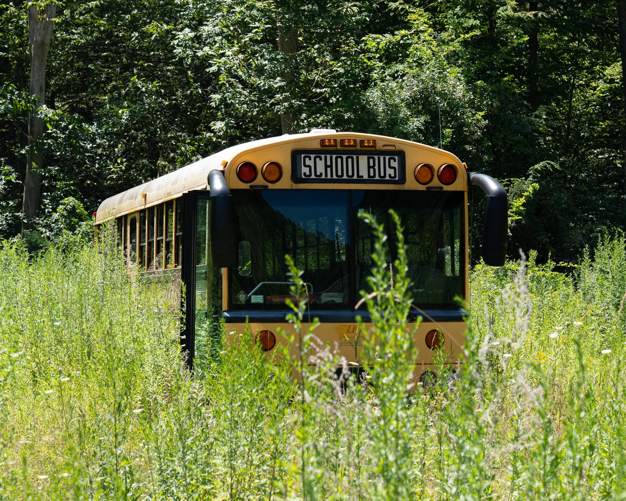 Abandoned School Bus, Roscoe