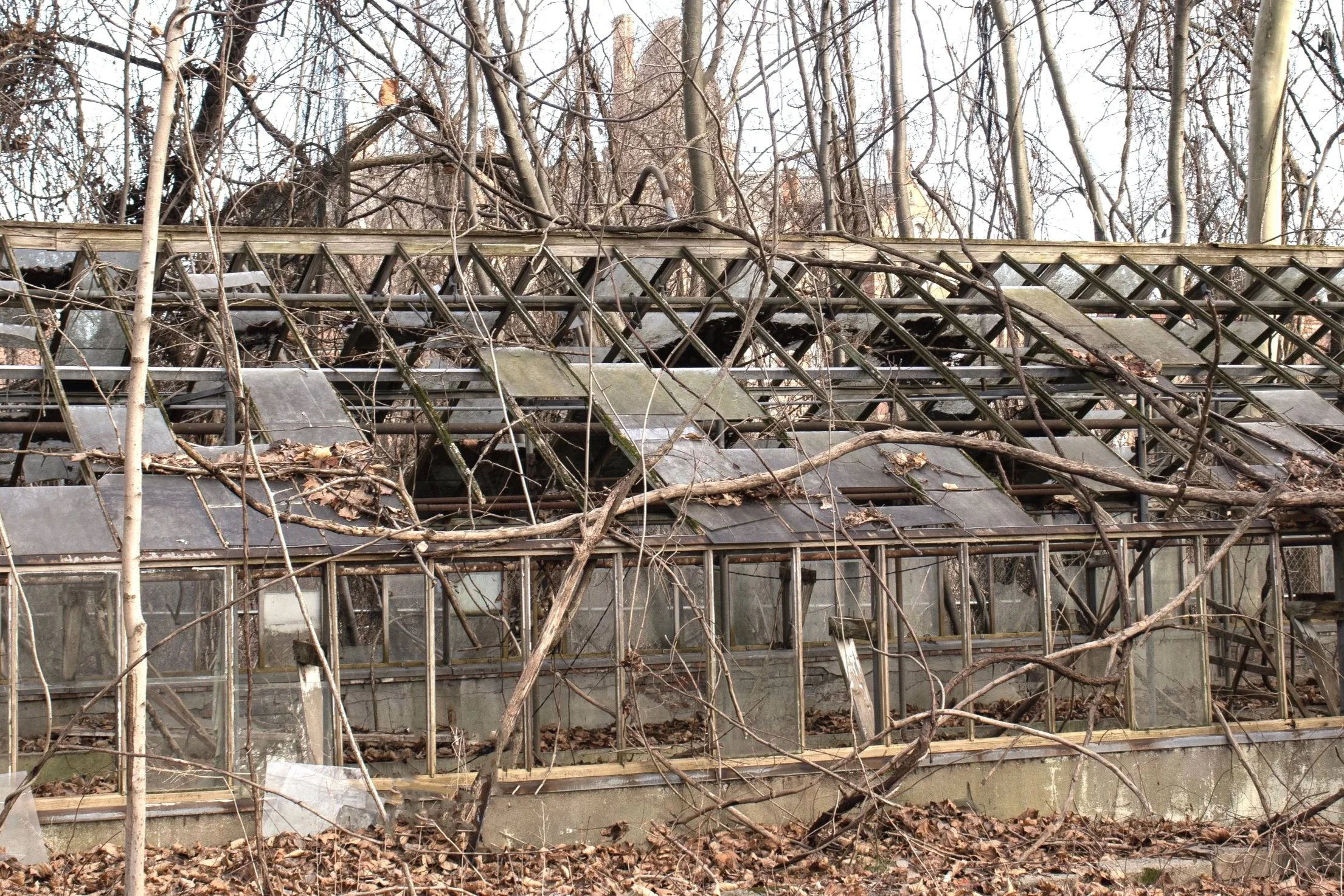 Greenhouse, Hudson River State Hospital, Poughkeepsie NY